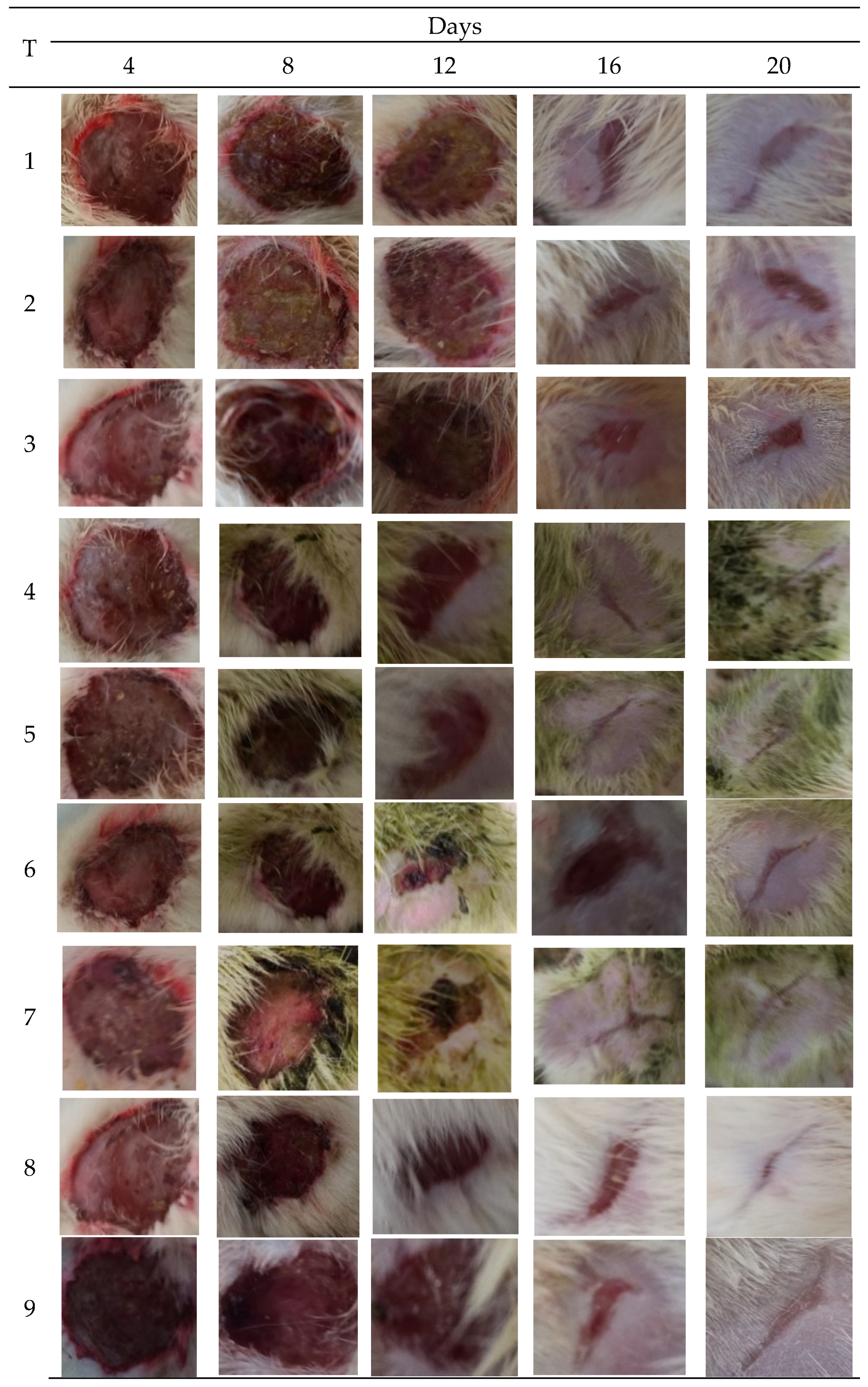Molecules 27 04481 g003