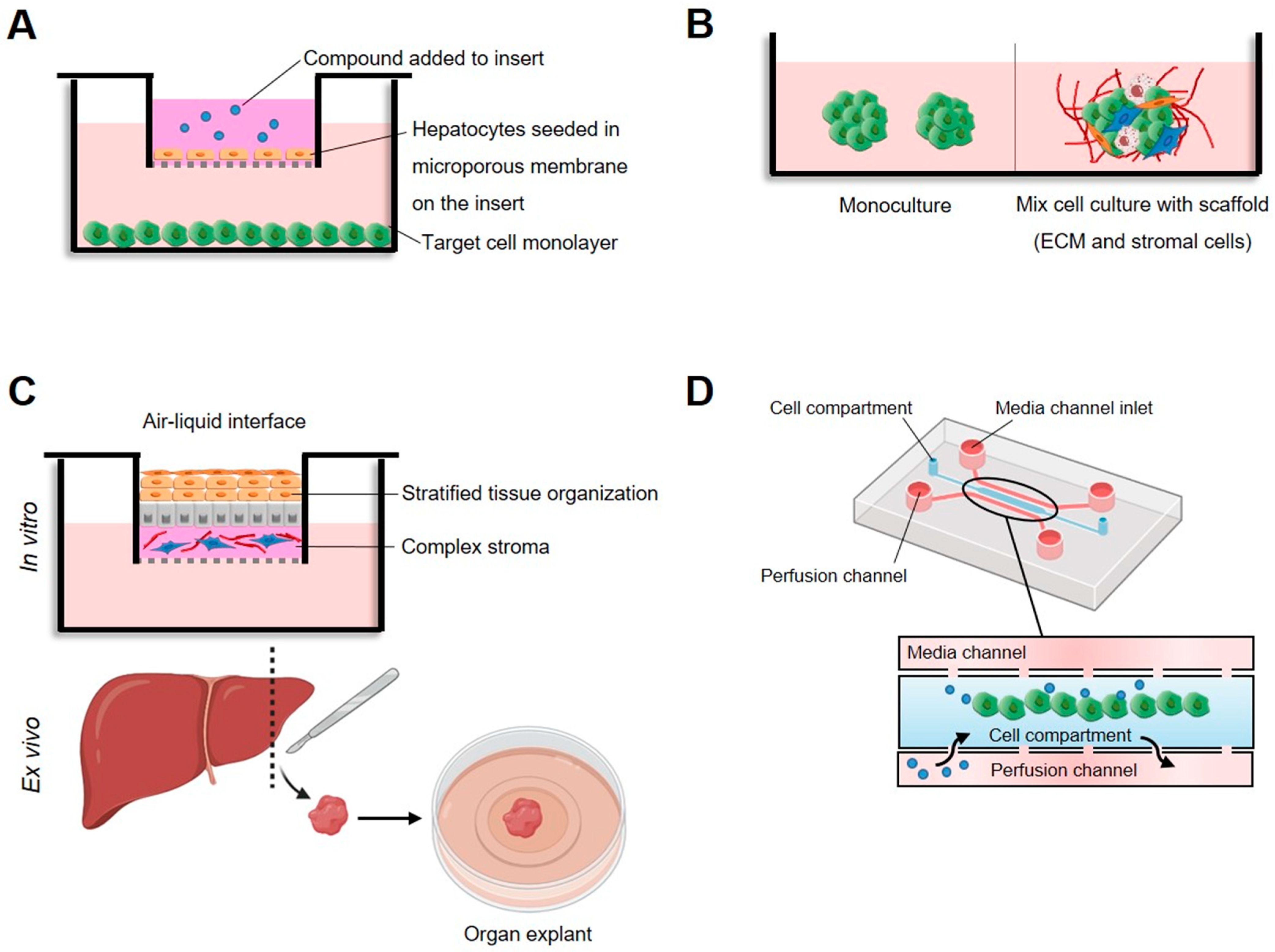 Molecules 27 04490 g001