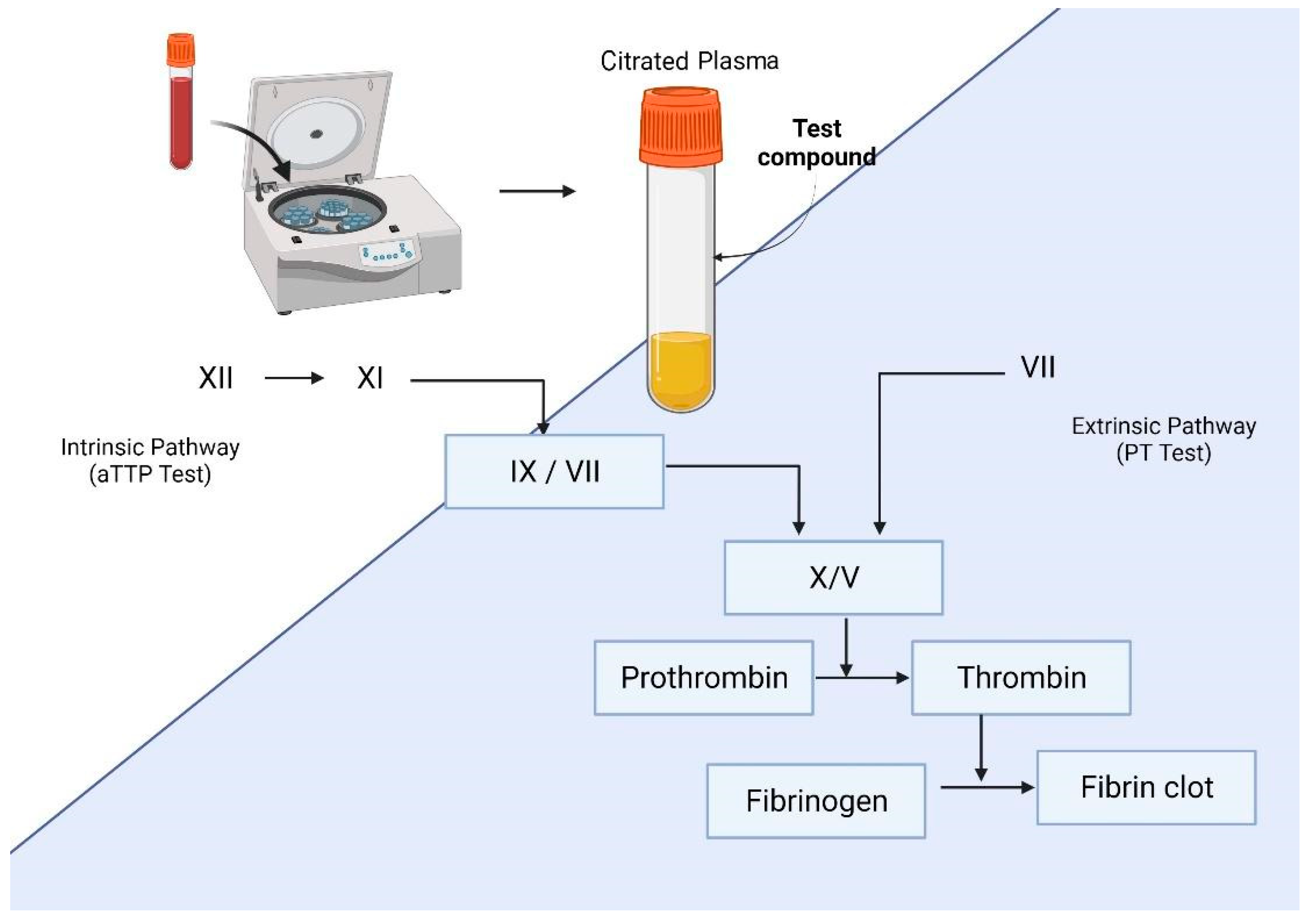 Molecules 27 04490 g004