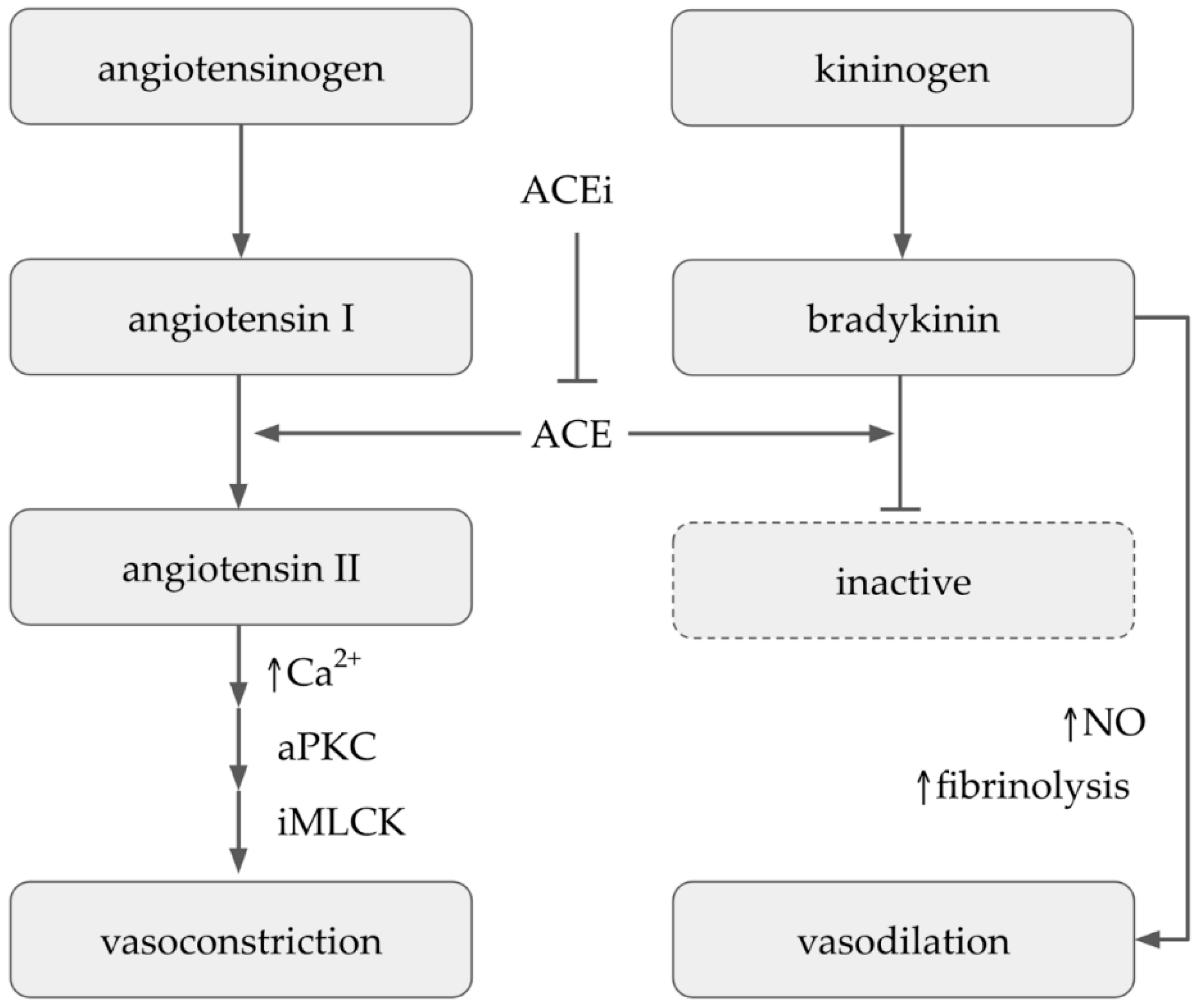 Molecules 27 04490 g006