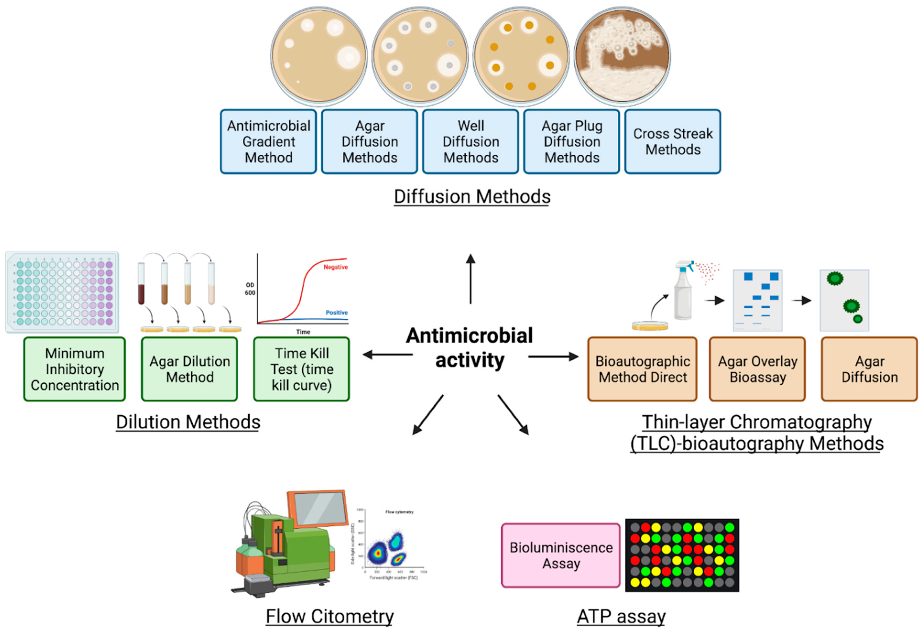 Molecules 27 04490 g007