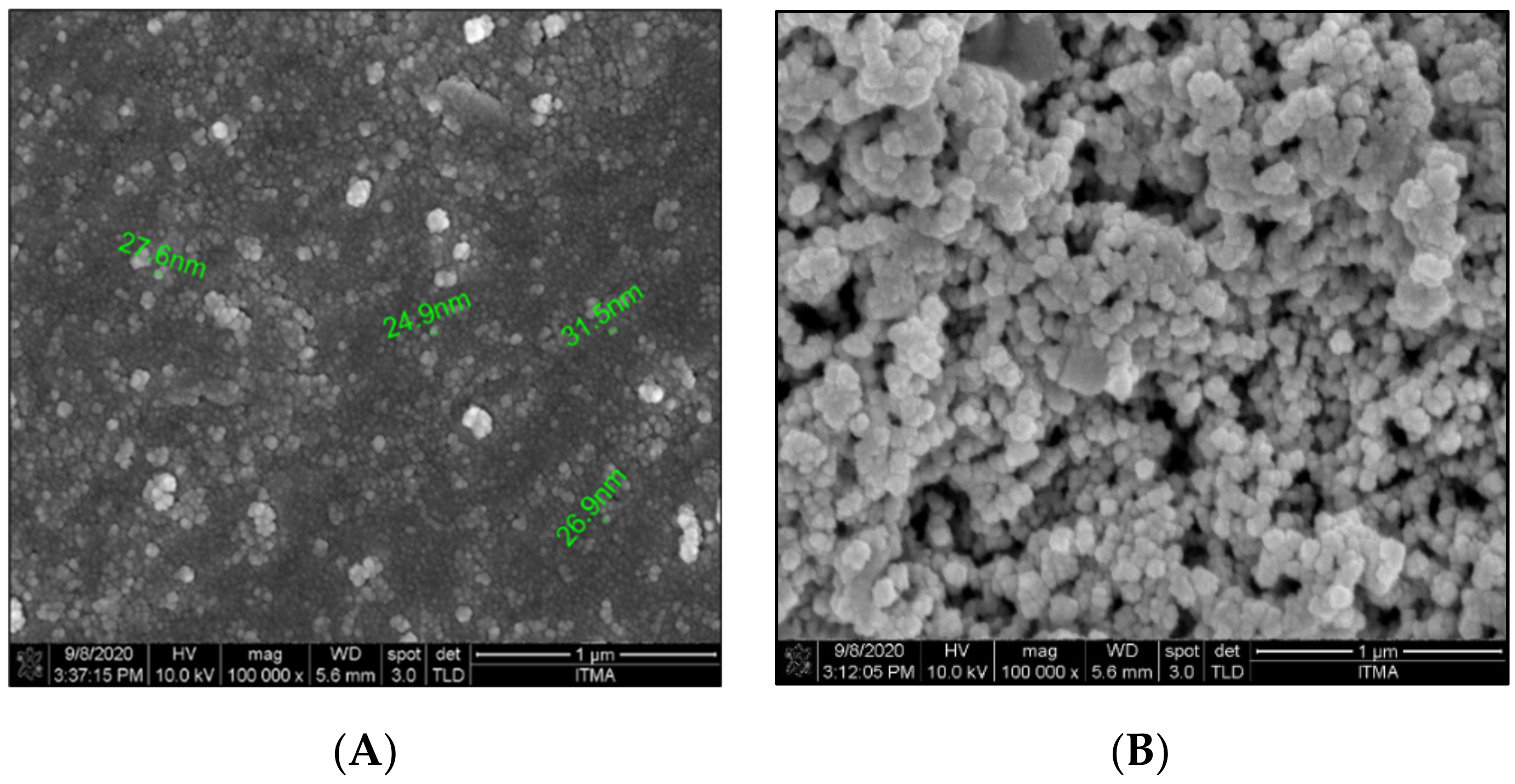 Molecules 27 04493 g001