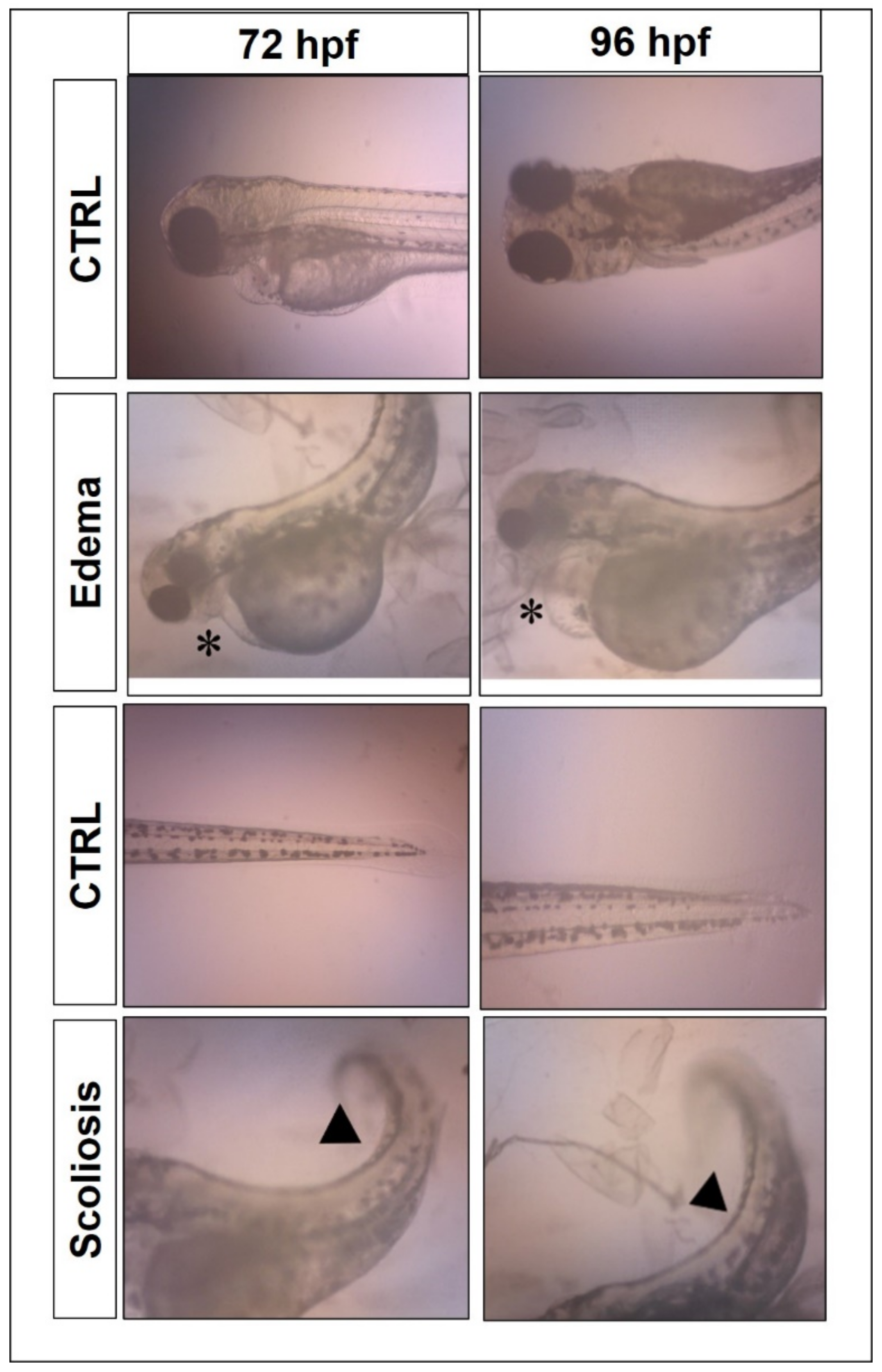Molecules 27 04493 g007