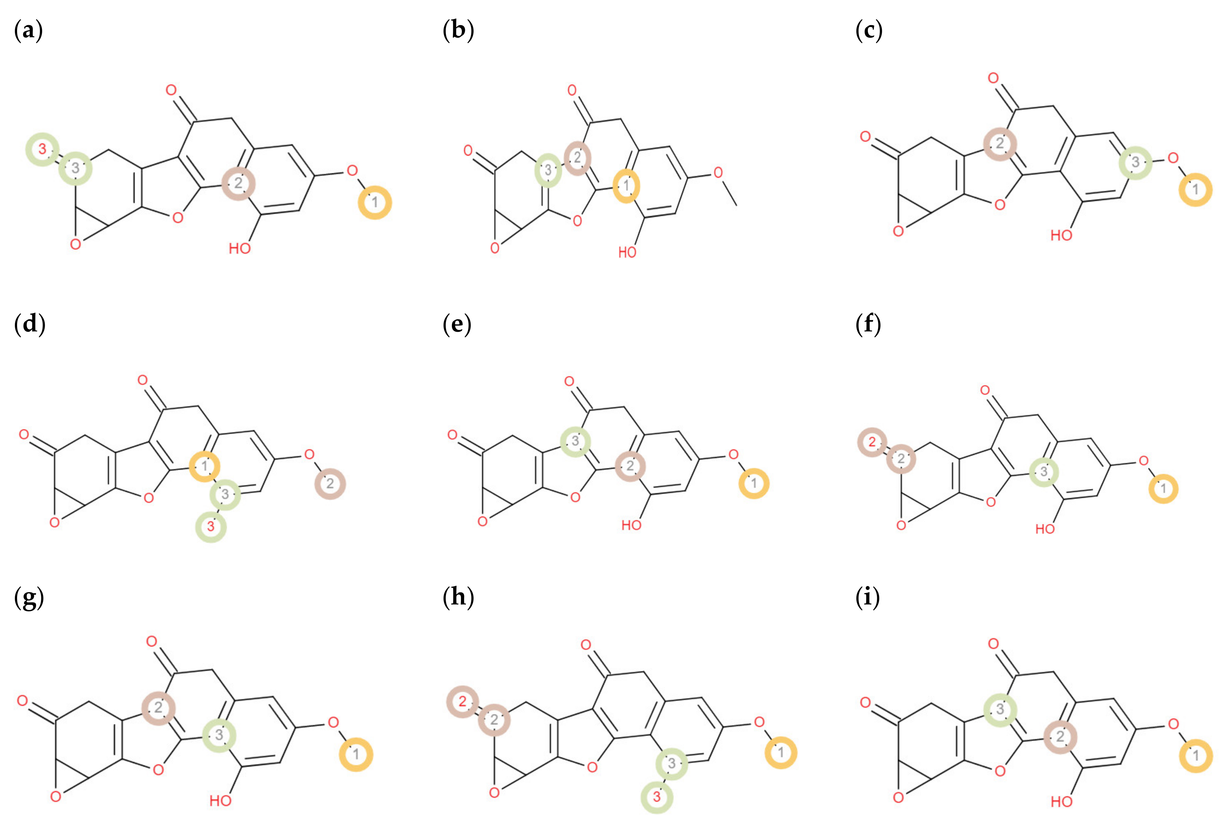 Molecules 27 04499 g004
