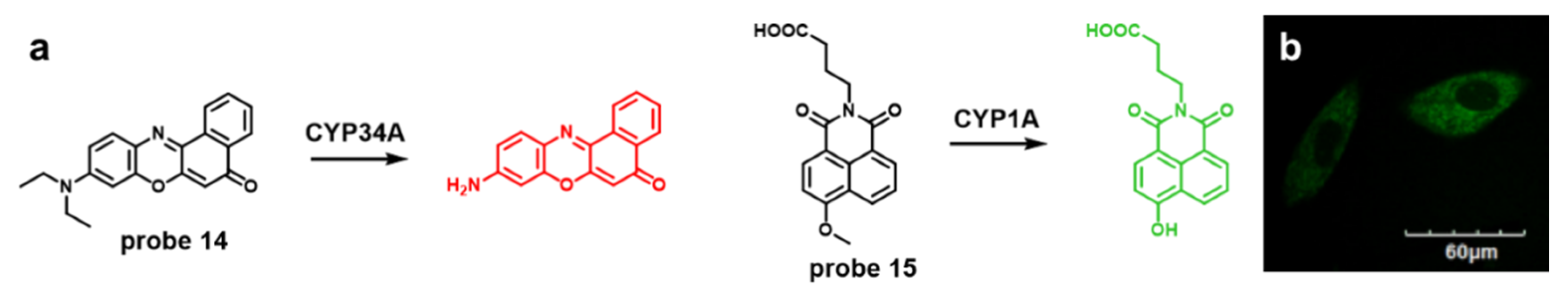 Molecules 27 04501 g005