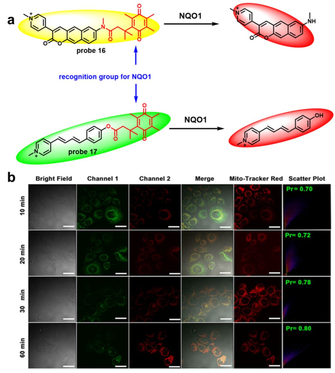 Molecules 27 04501 g006