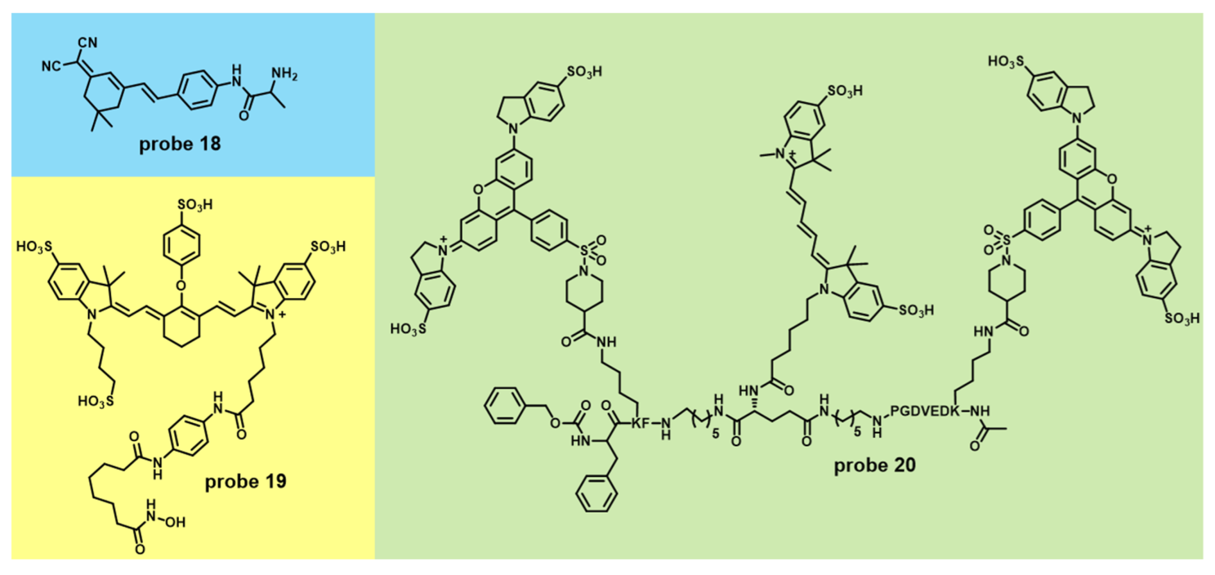 Molecules 27 04501 g007