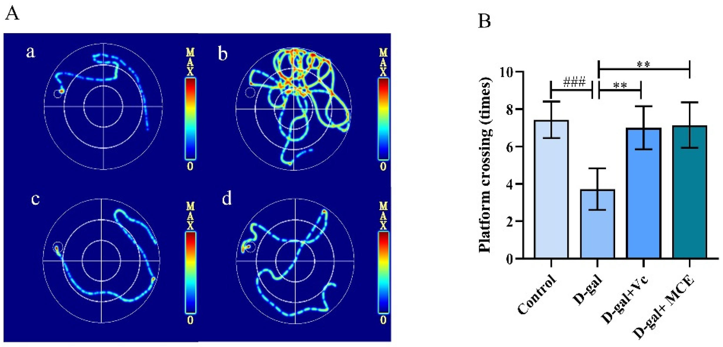 Molecules 27 04502 g004