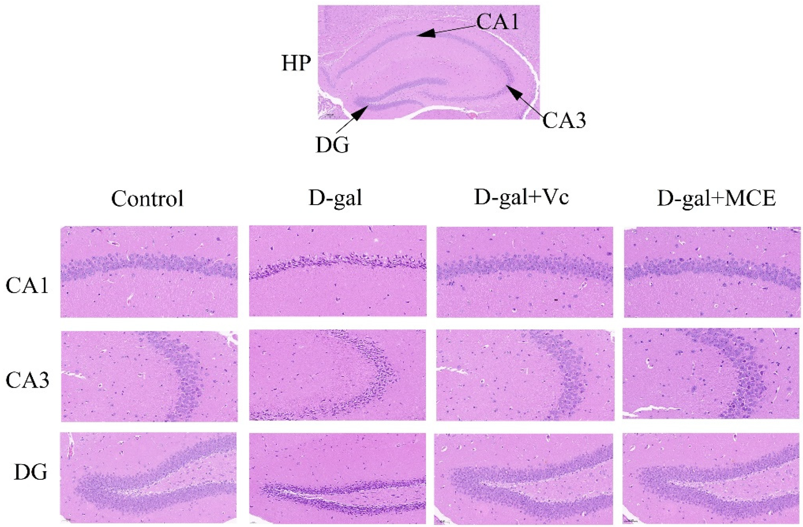 Molecules 27 04502 g006