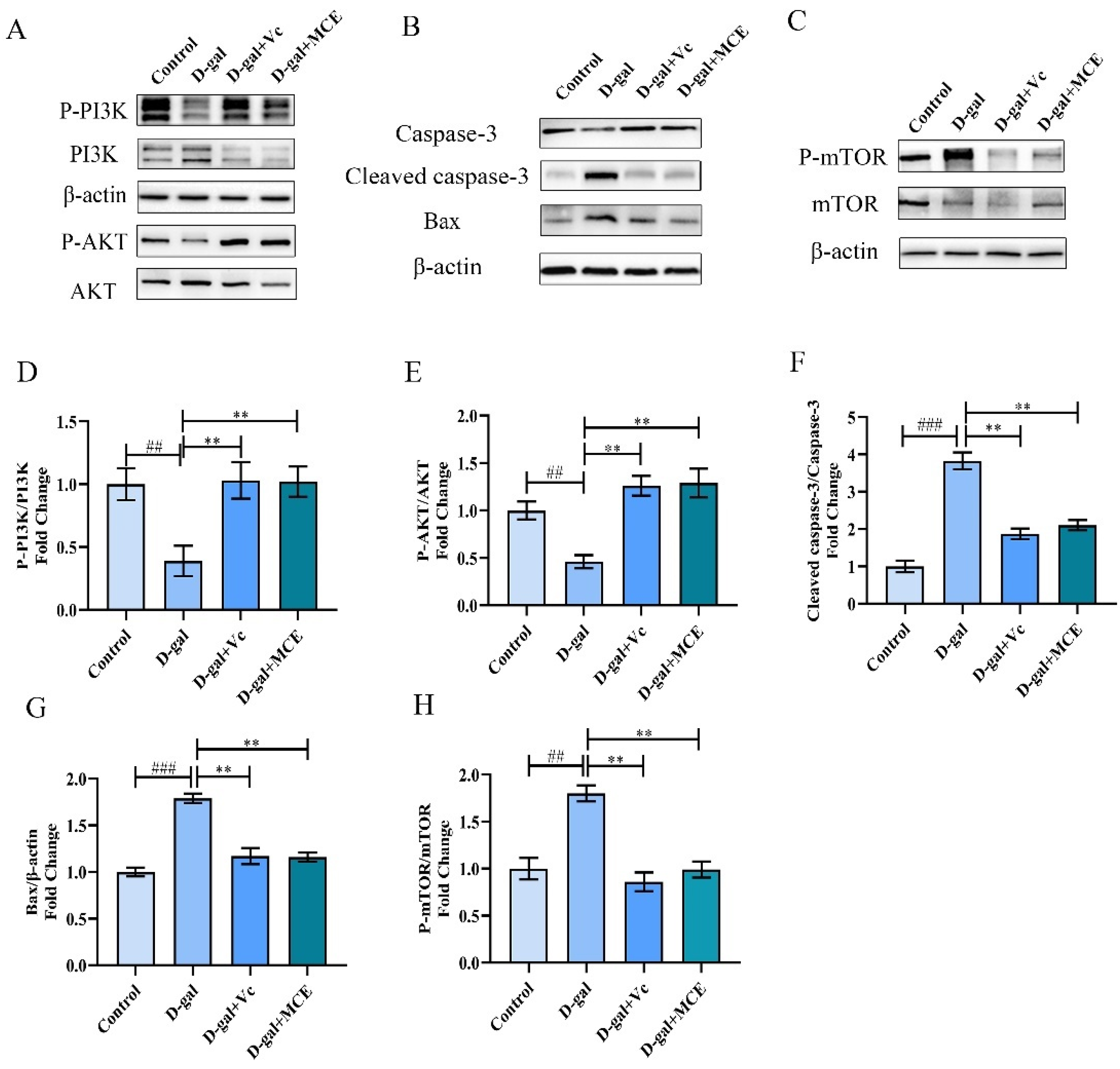 Molecules 27 04502 g007