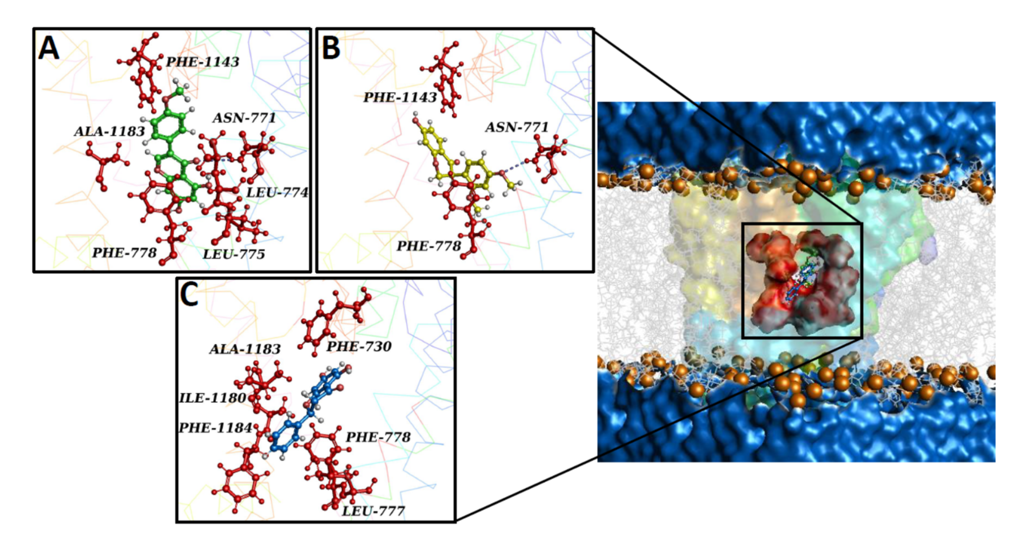 Molecules 27 04505 g007a Molecules 27 04505 g007a