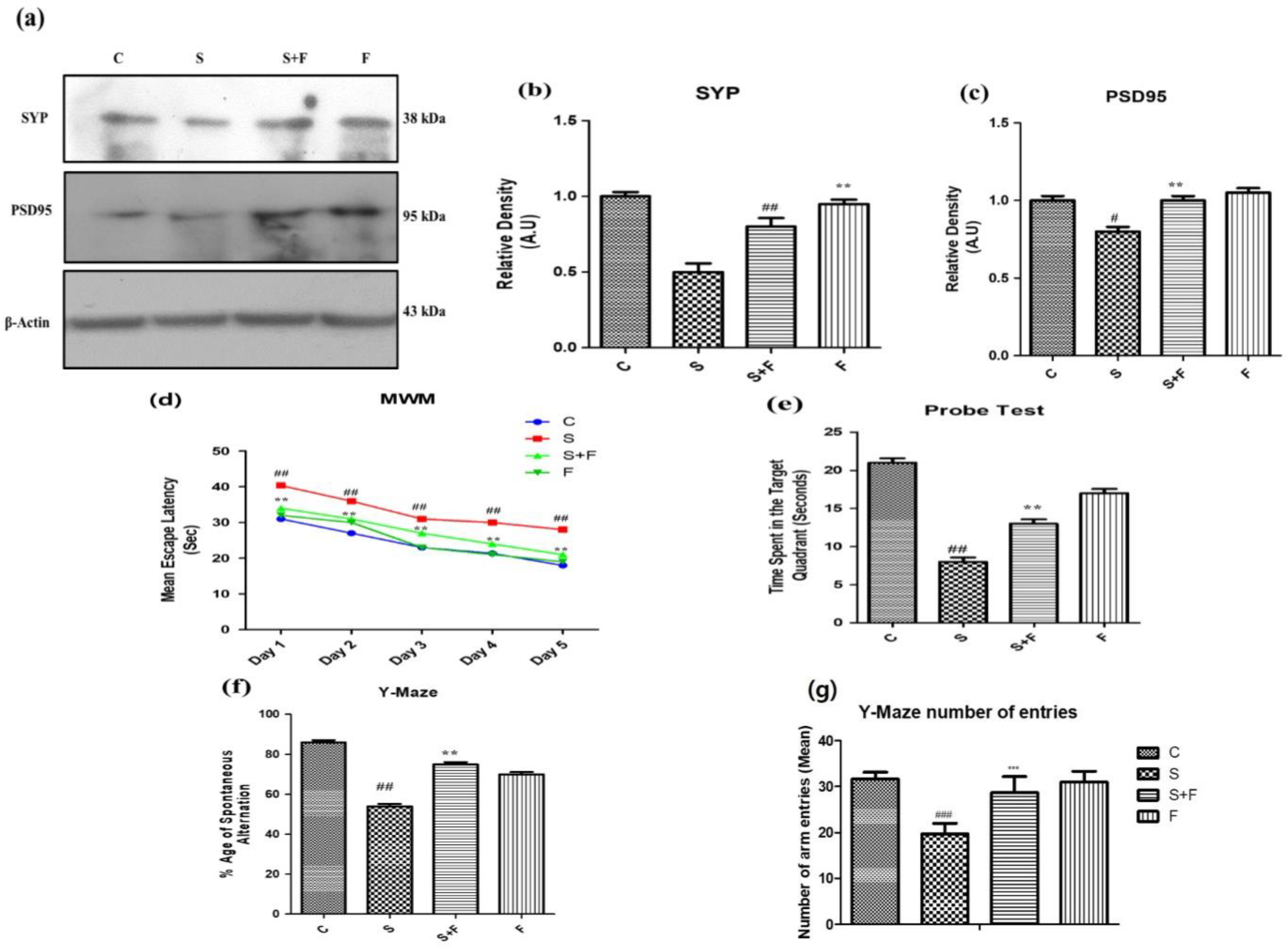 Molecules 27 04513 g004