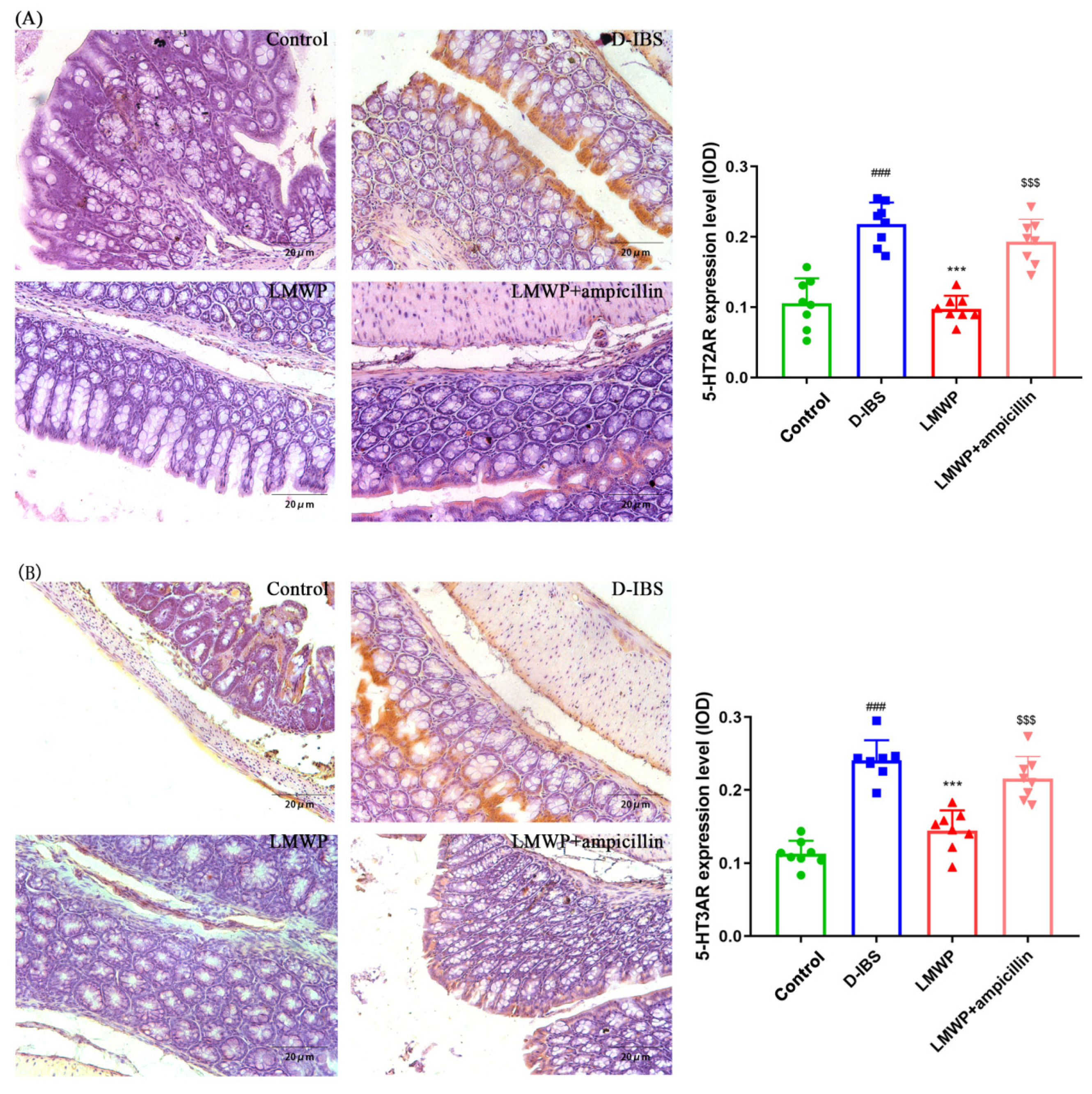 Molecules 27 04517 g005