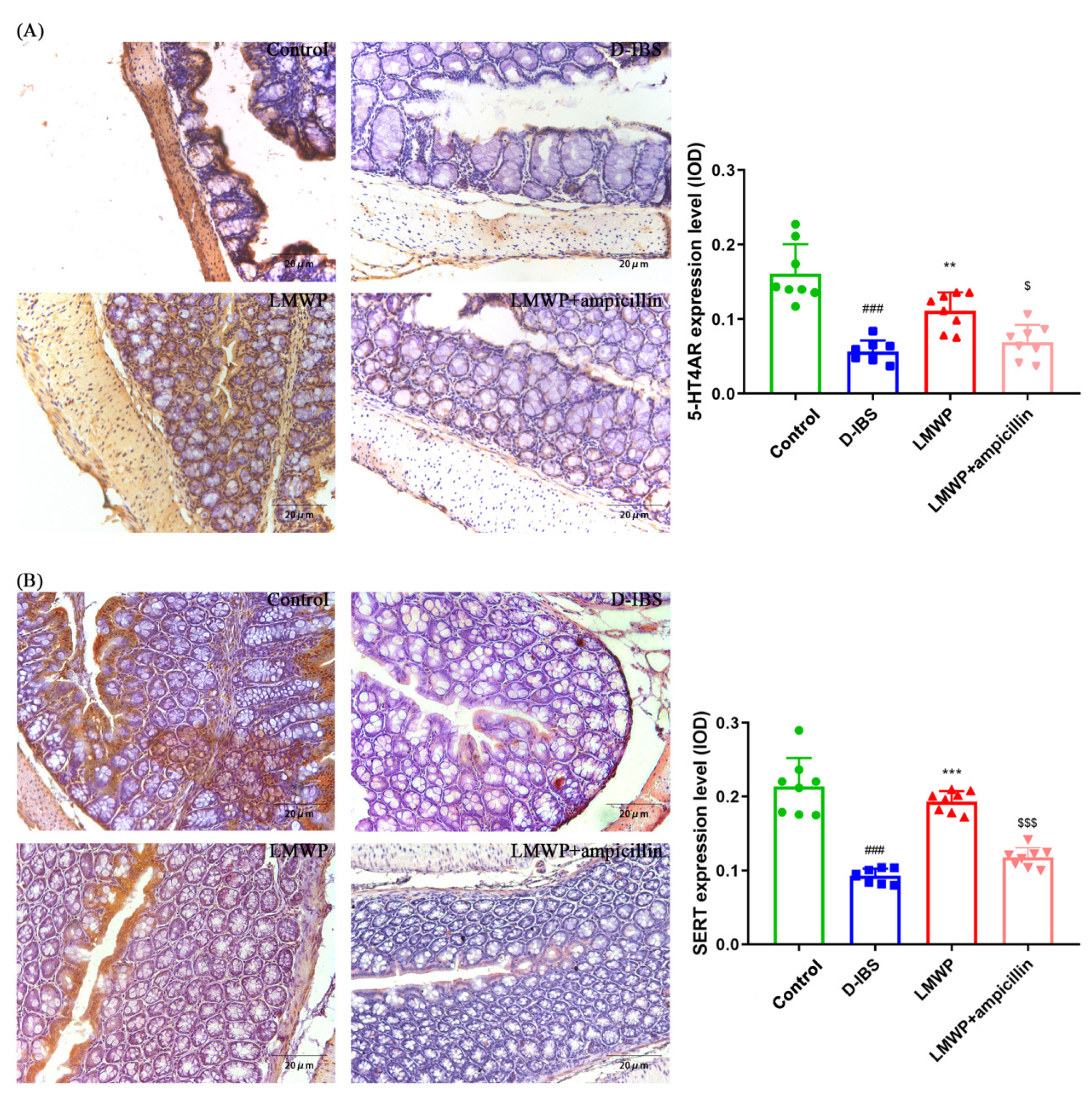 Molecules 27 04517 g006