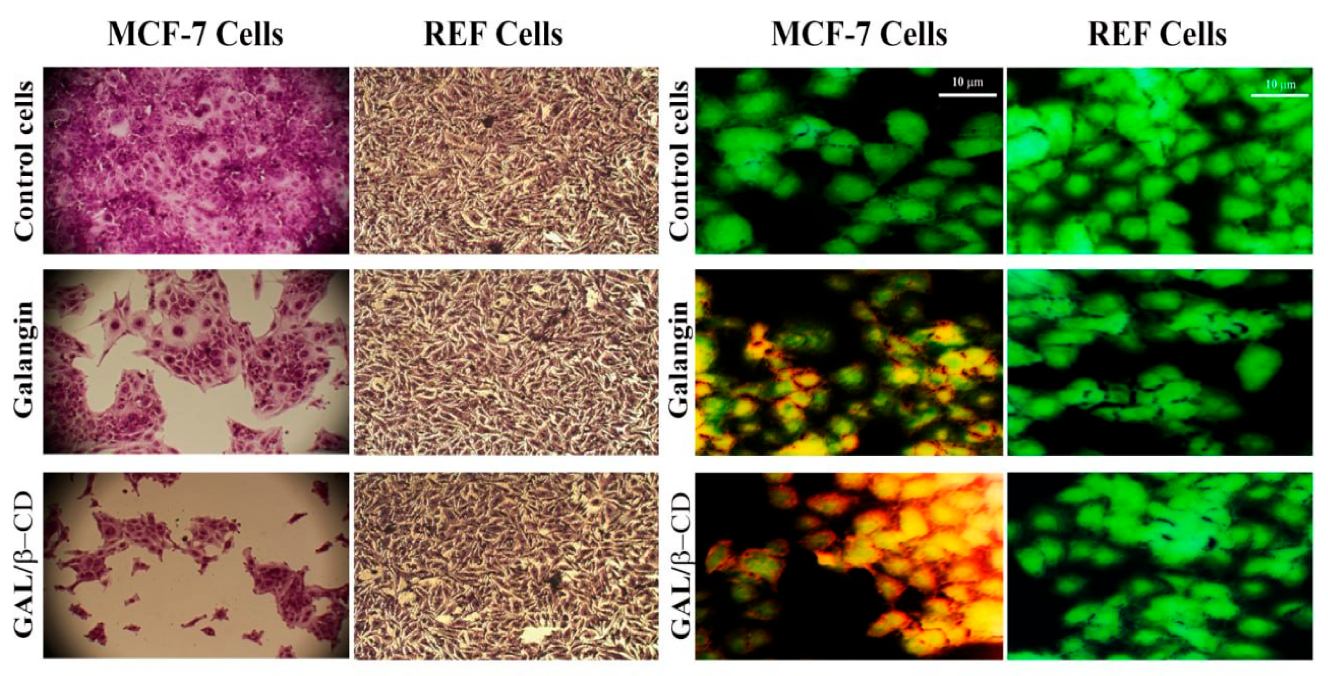 Molecules 27 04521 g010