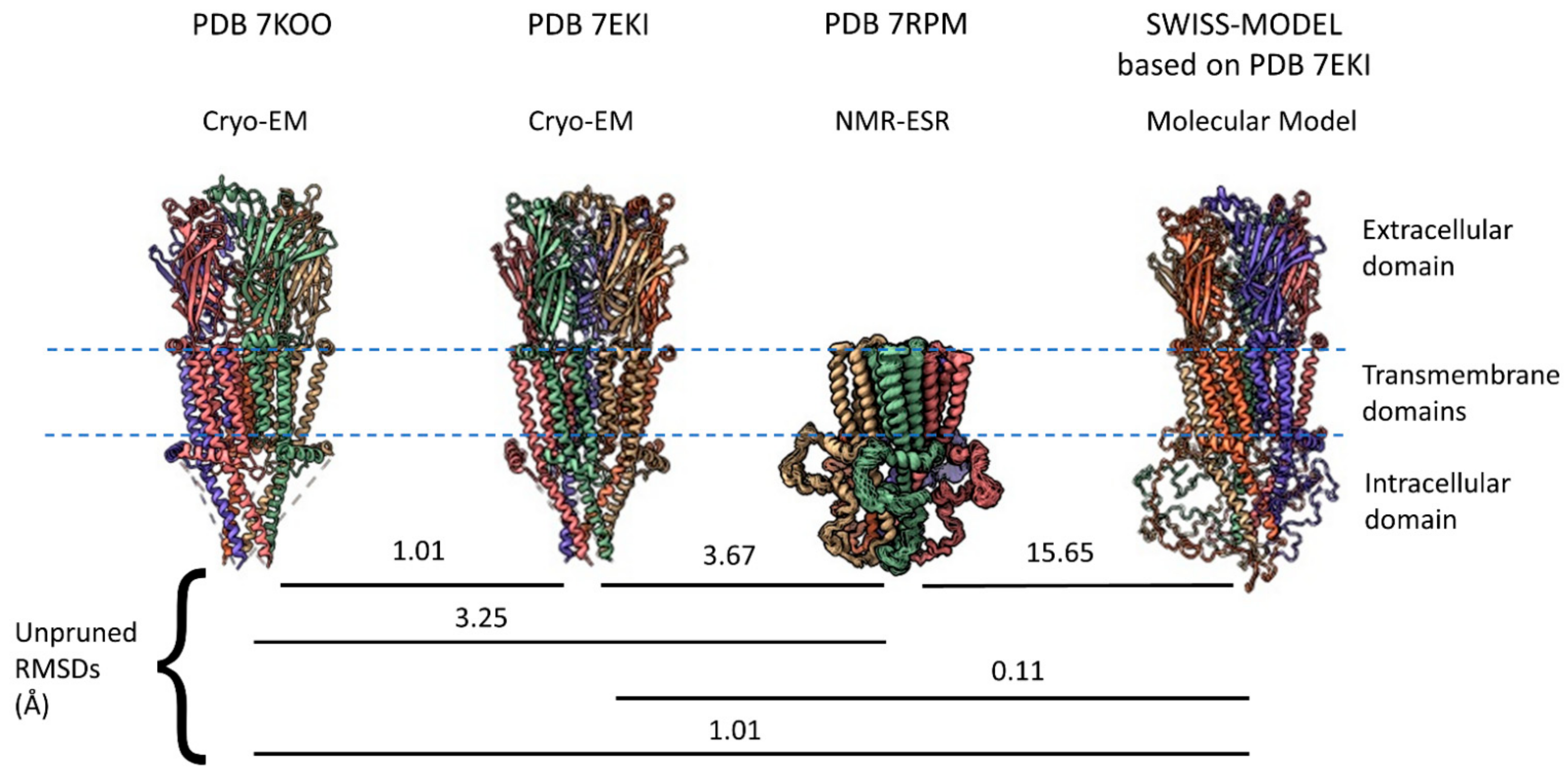 Molecules 27 04527 g001 Molecules 27 04527 g001
