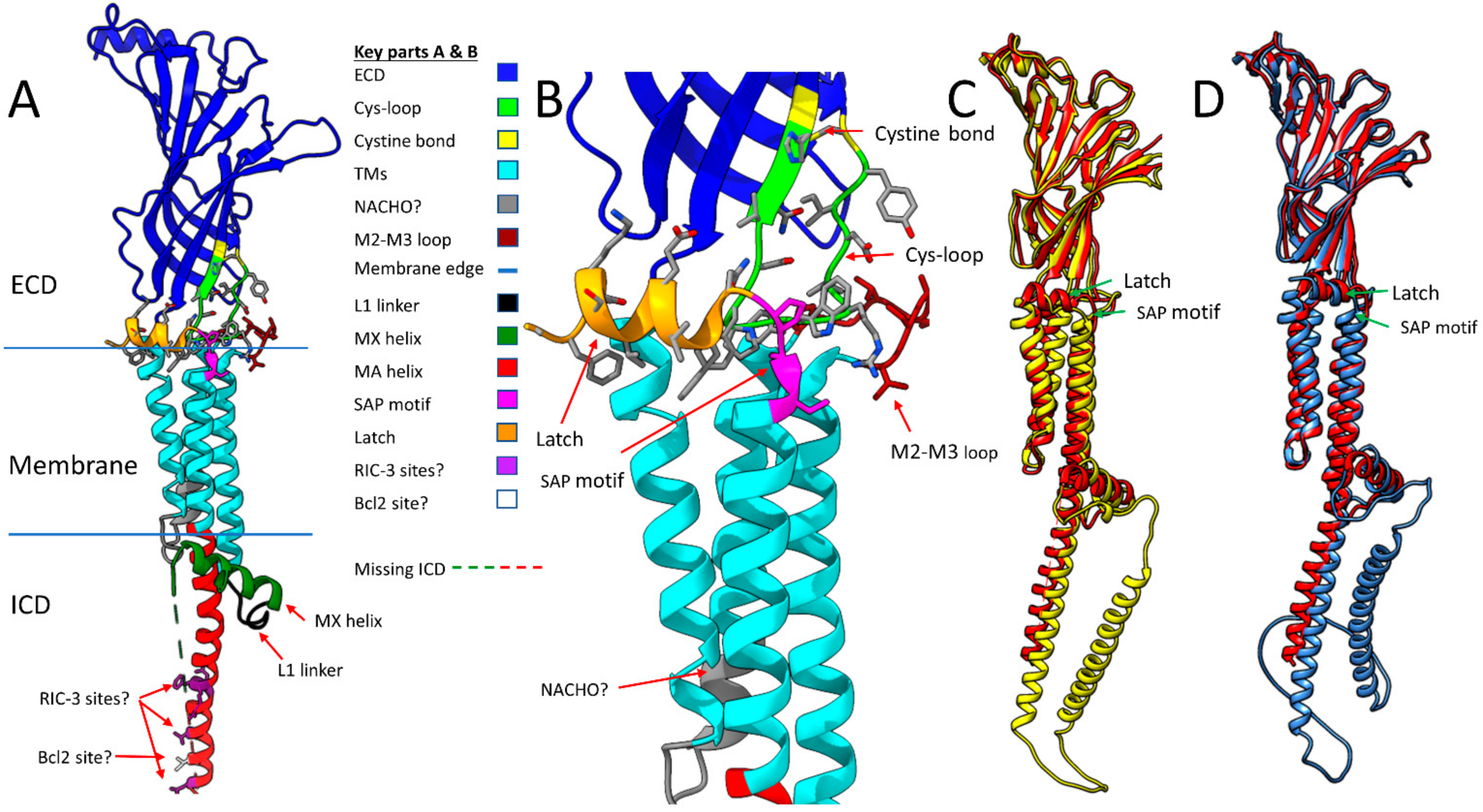 Molecules 27 04527 g002a Molecules 27 04527 g002a