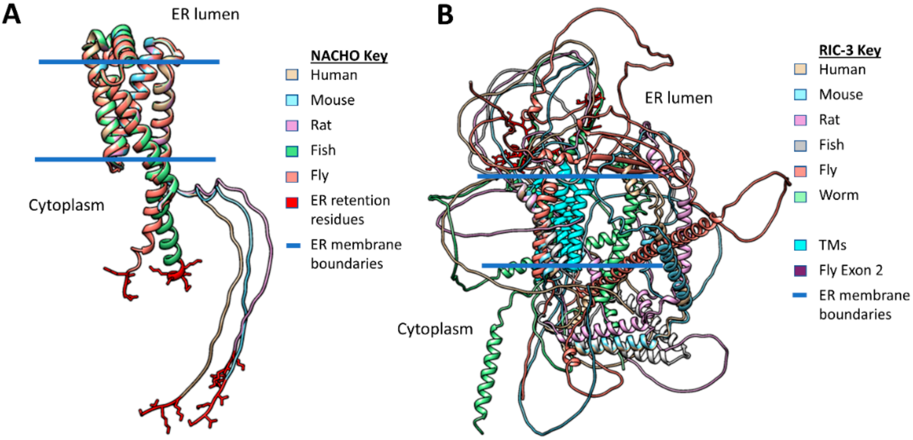 Molecules 27 04527 g004 Molecules 27 04527 g004