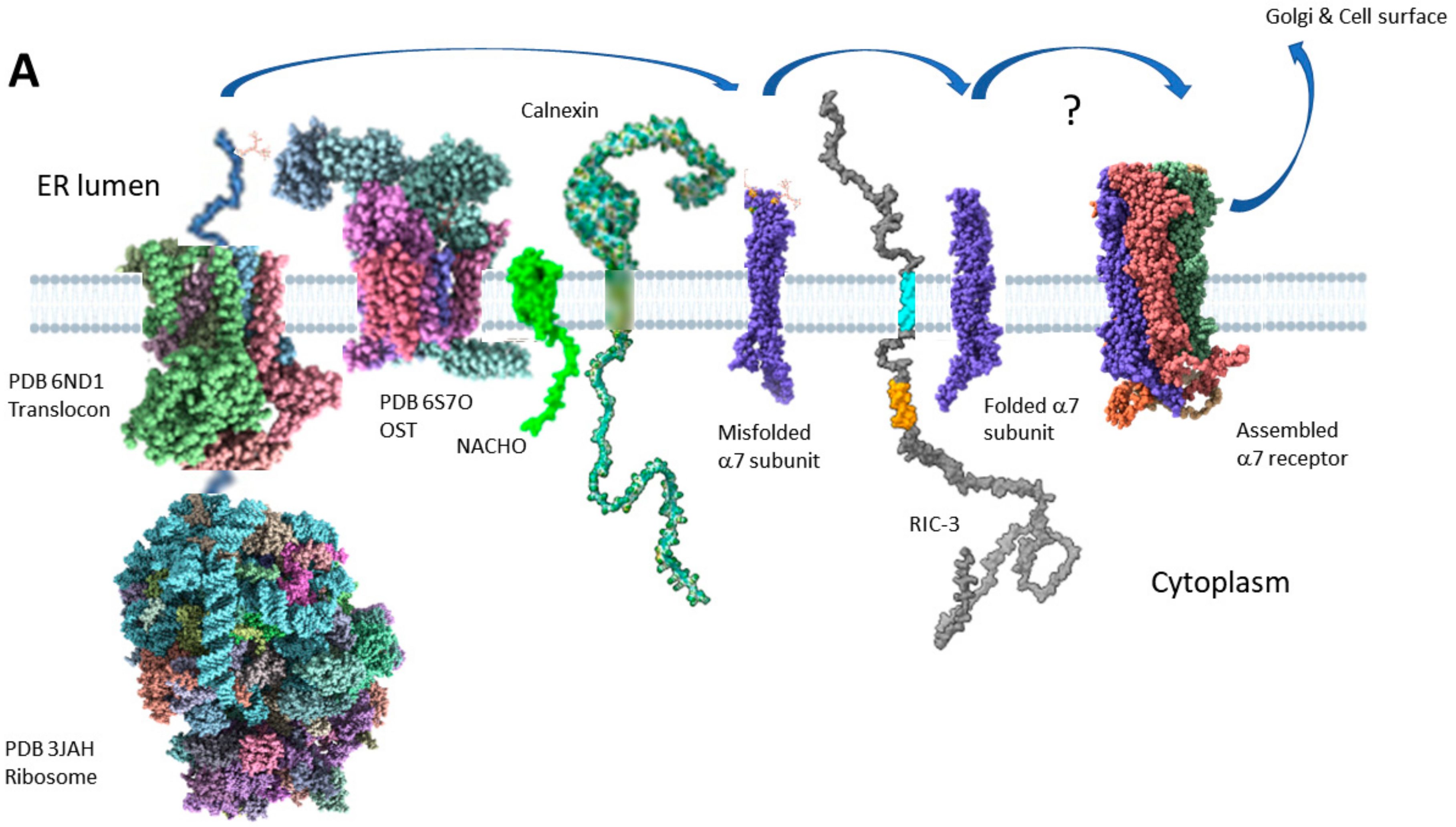 Molecules 27 04527 g006a Molecules 27 04527 g006a