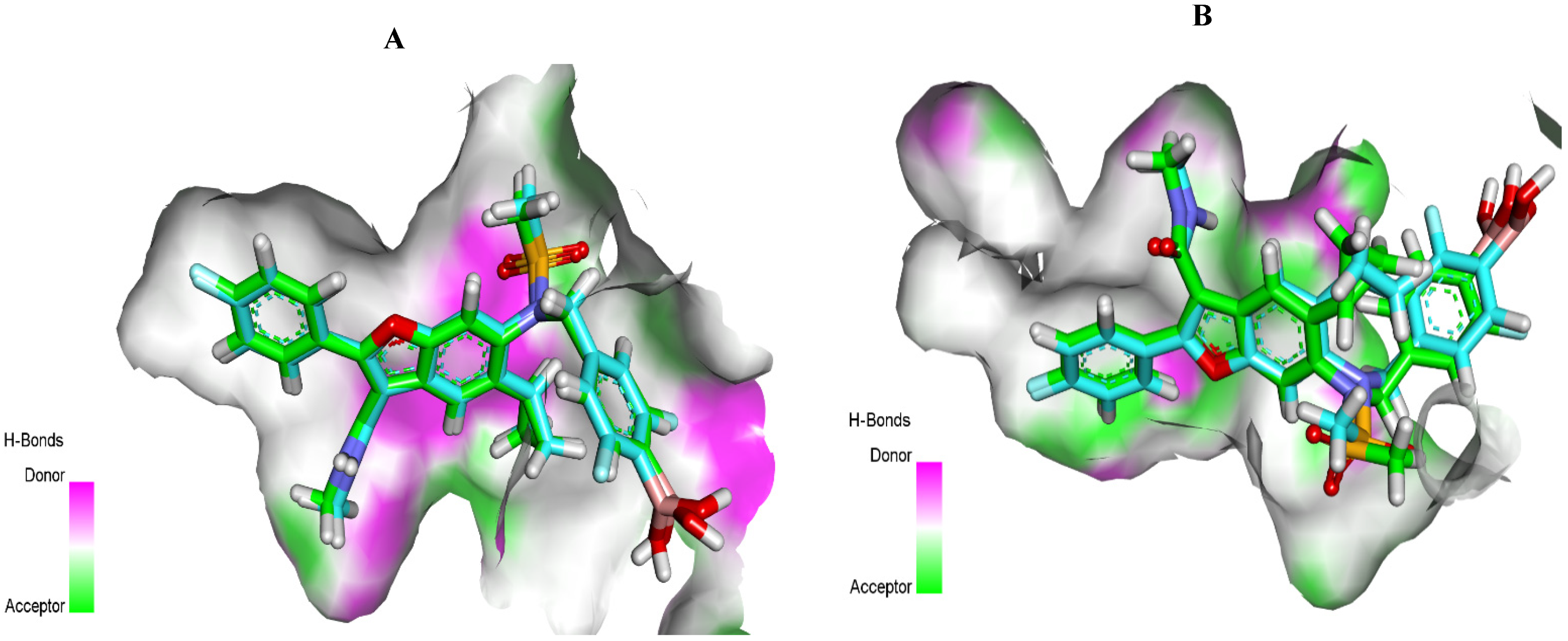 Molecules 27 04530 g004