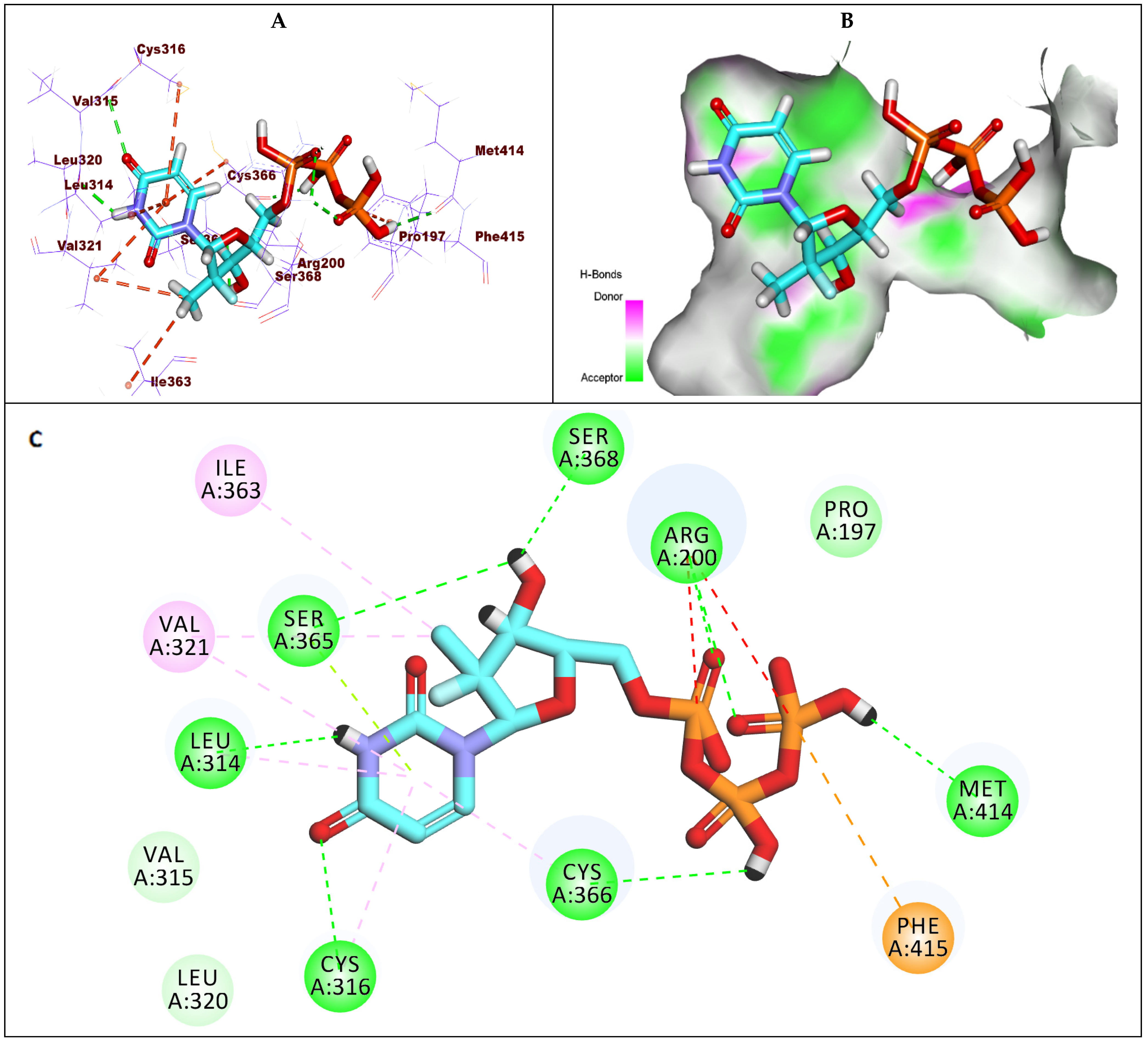 Molecules 27 04530 g006