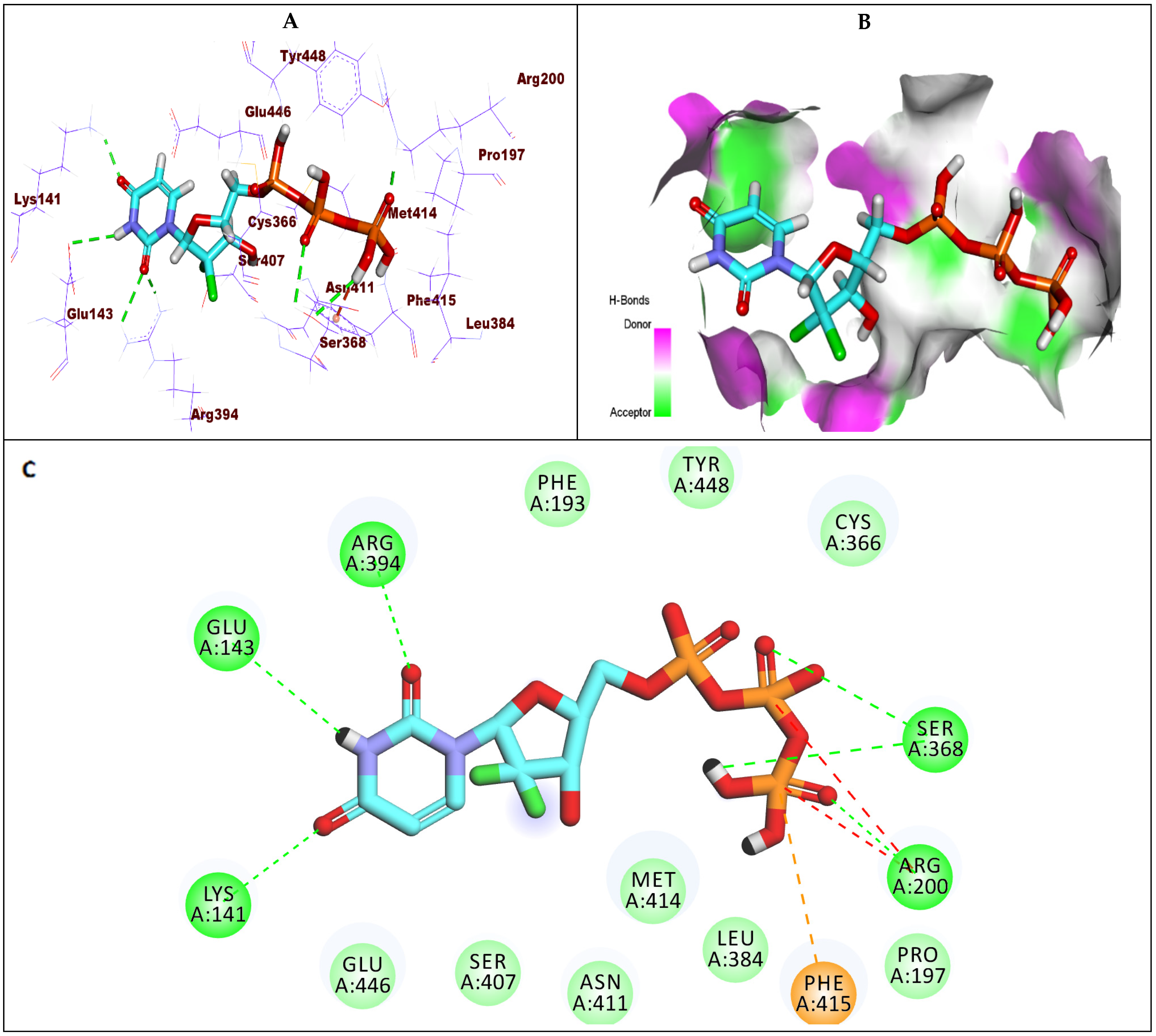 Molecules 27 04530 g007