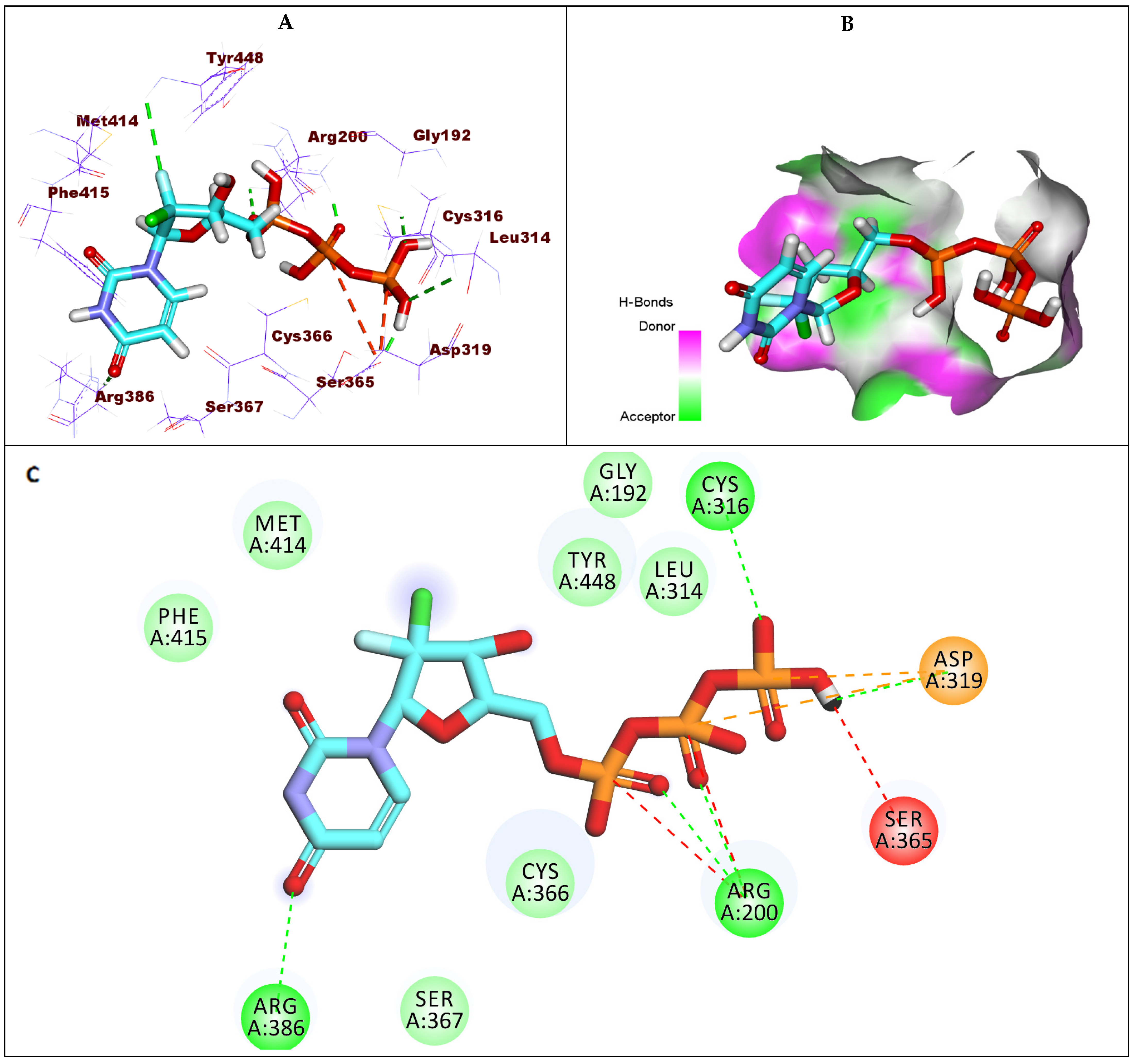 Molecules 27 04530 g008