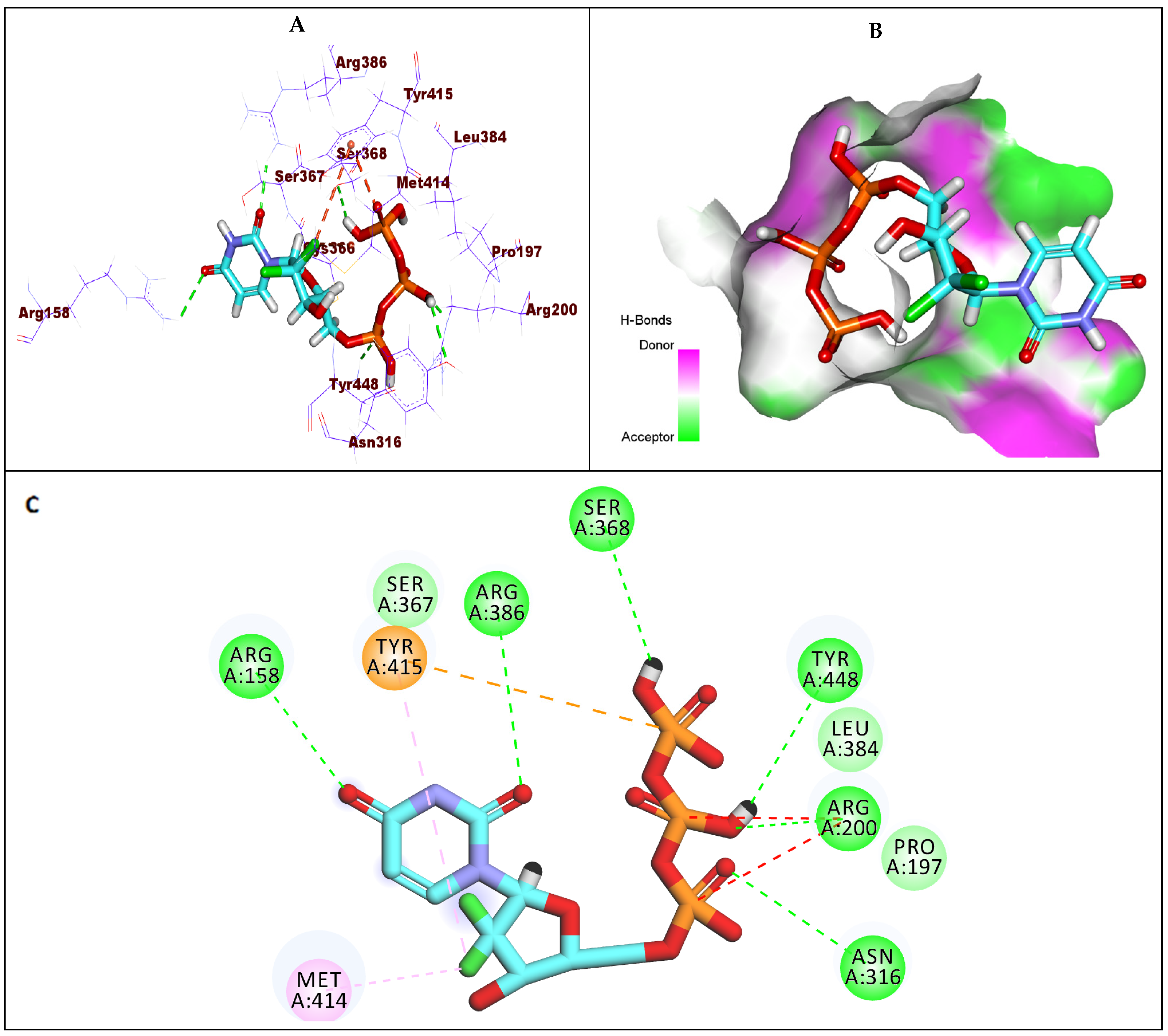 Molecules 27 04530 g011