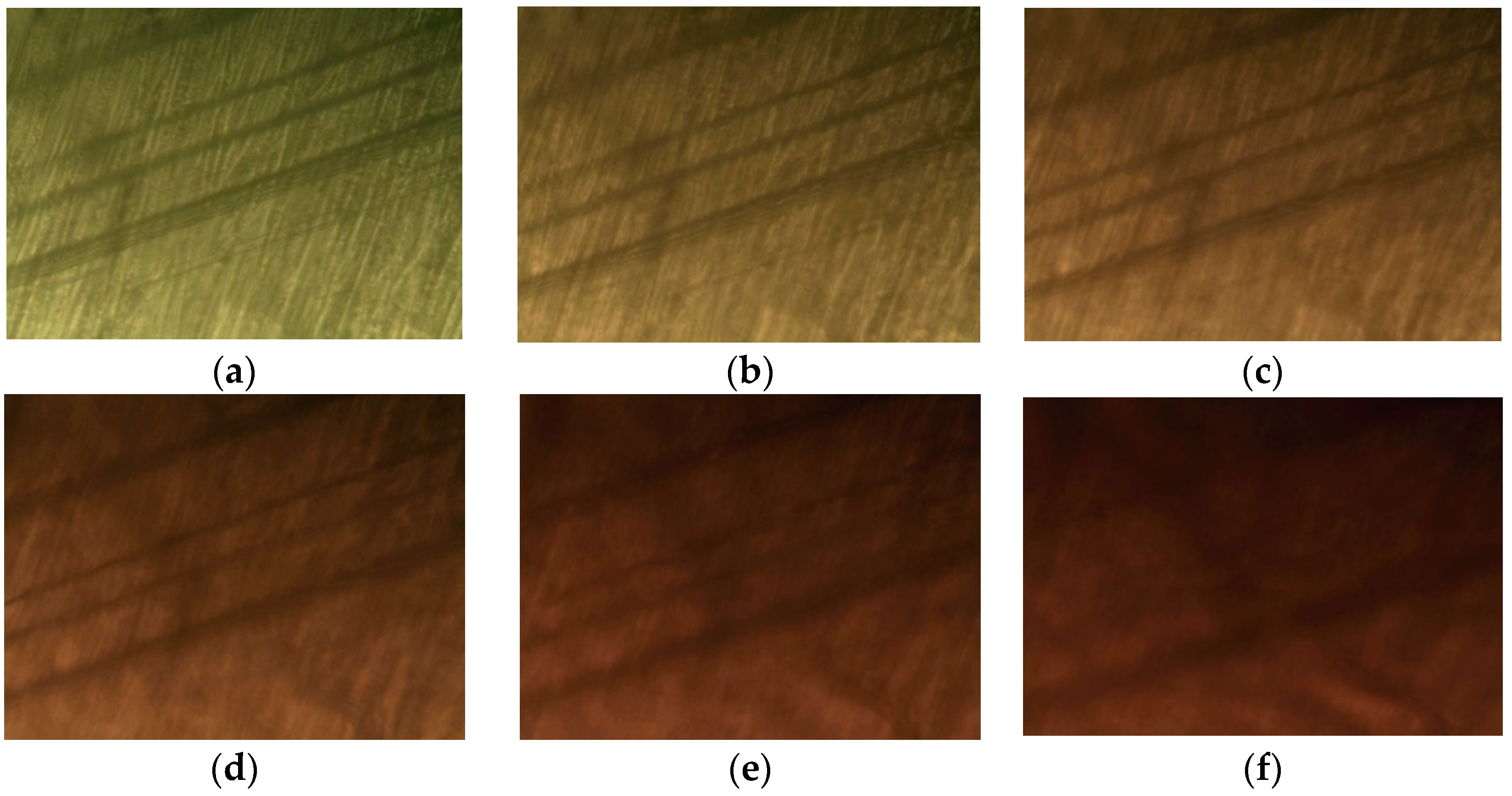 Molecules 27 04546 g003
