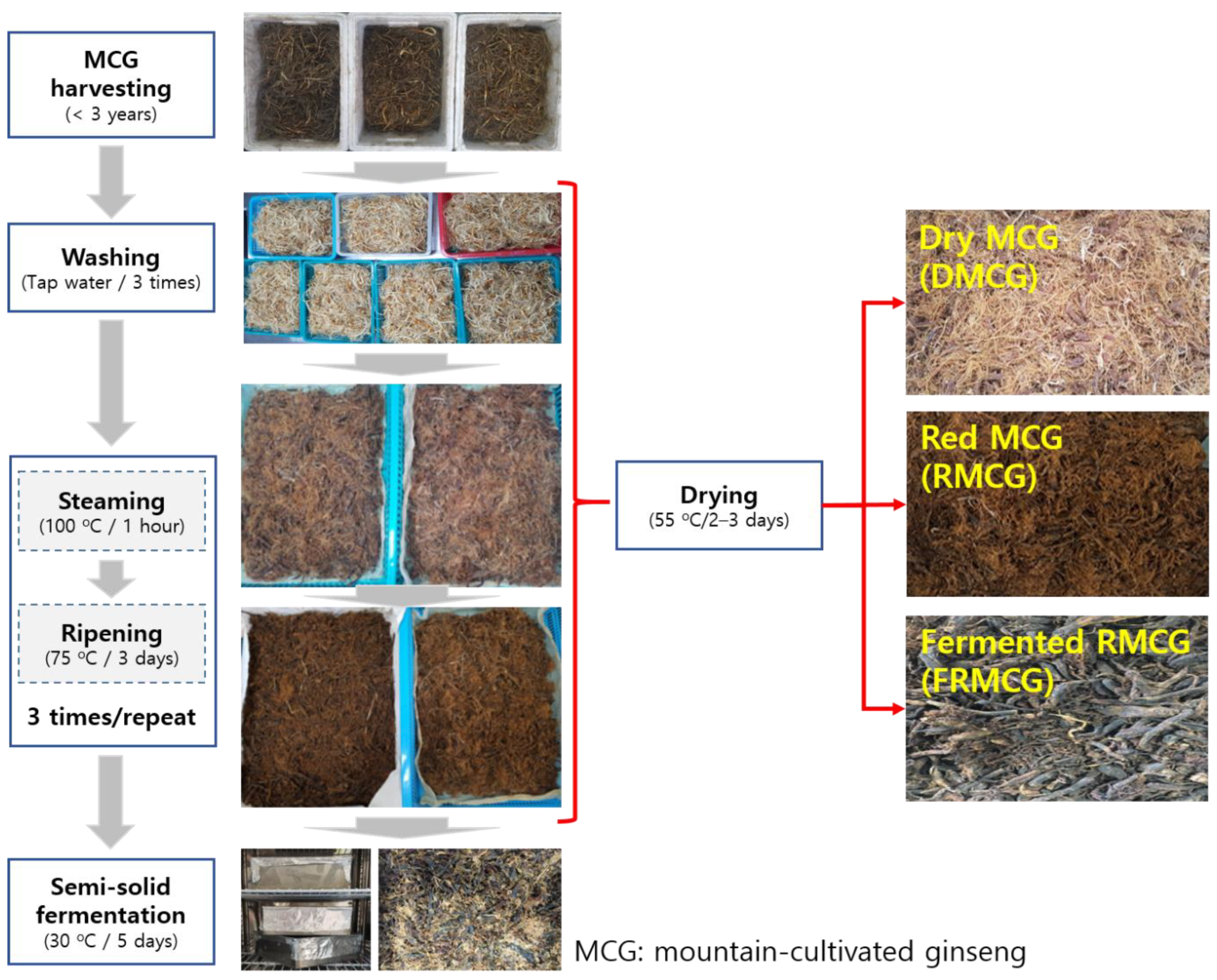 Molecules 27 04550 g001