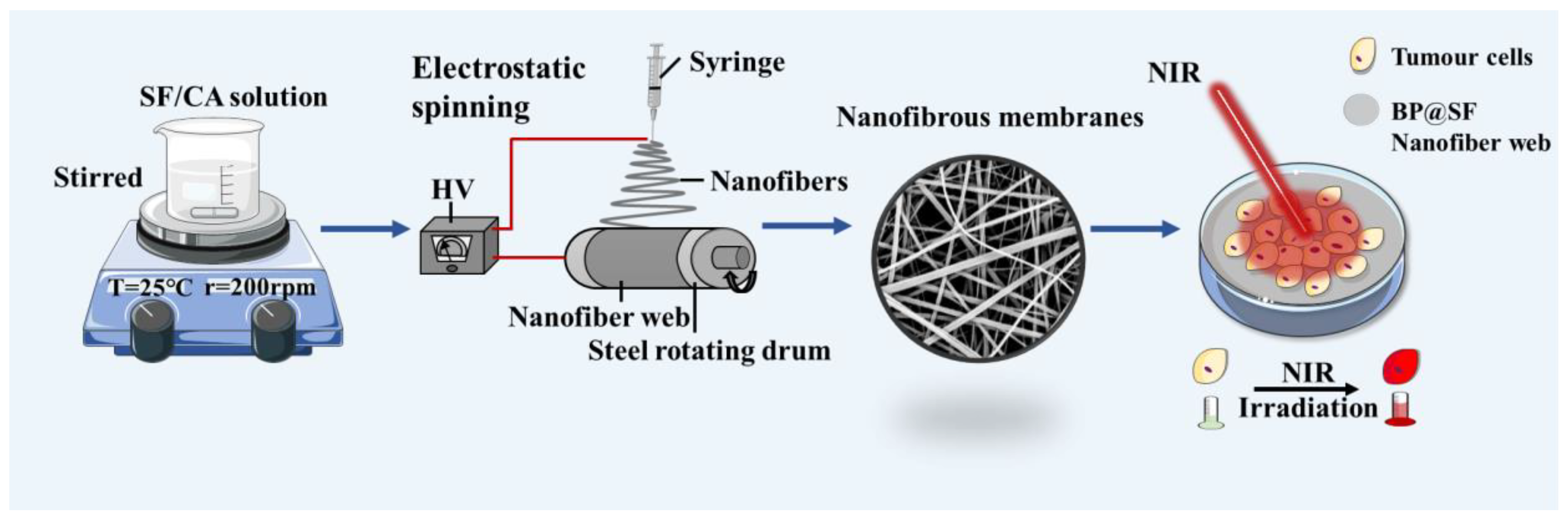 Molecules 27 04563 g007