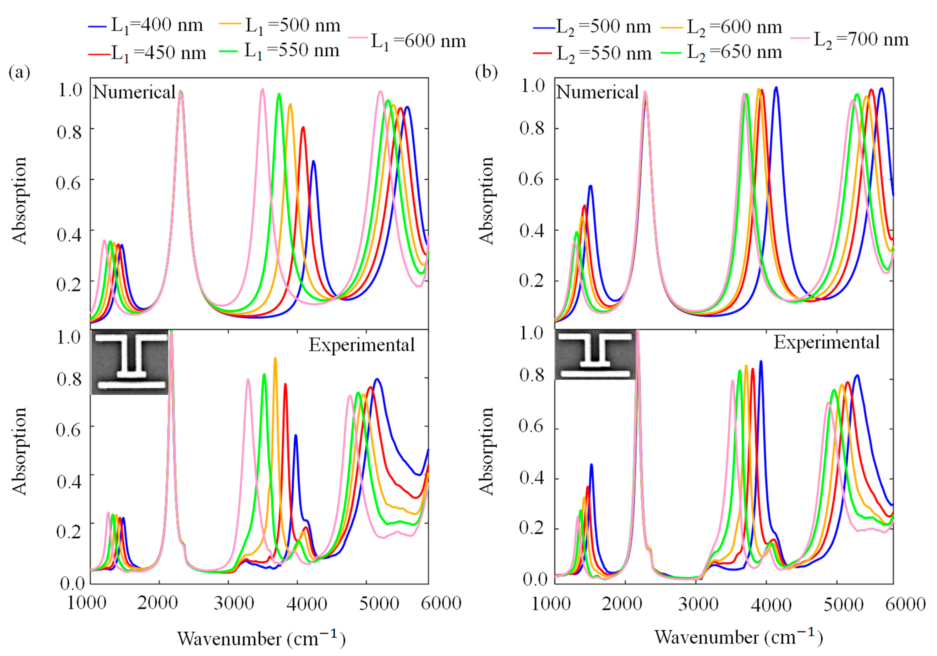 Molecules 27 04576 g003