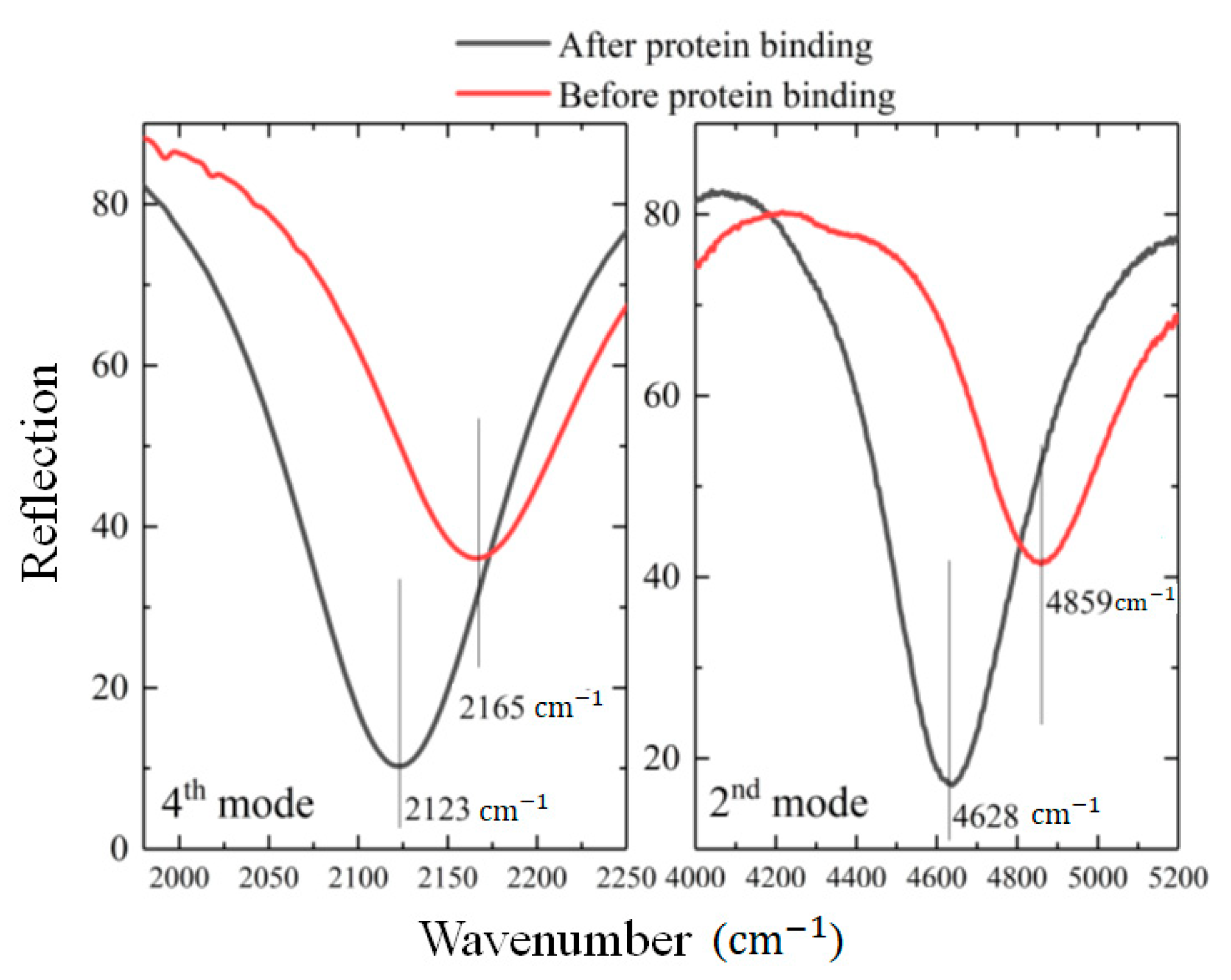 Molecules 27 04576 g006
