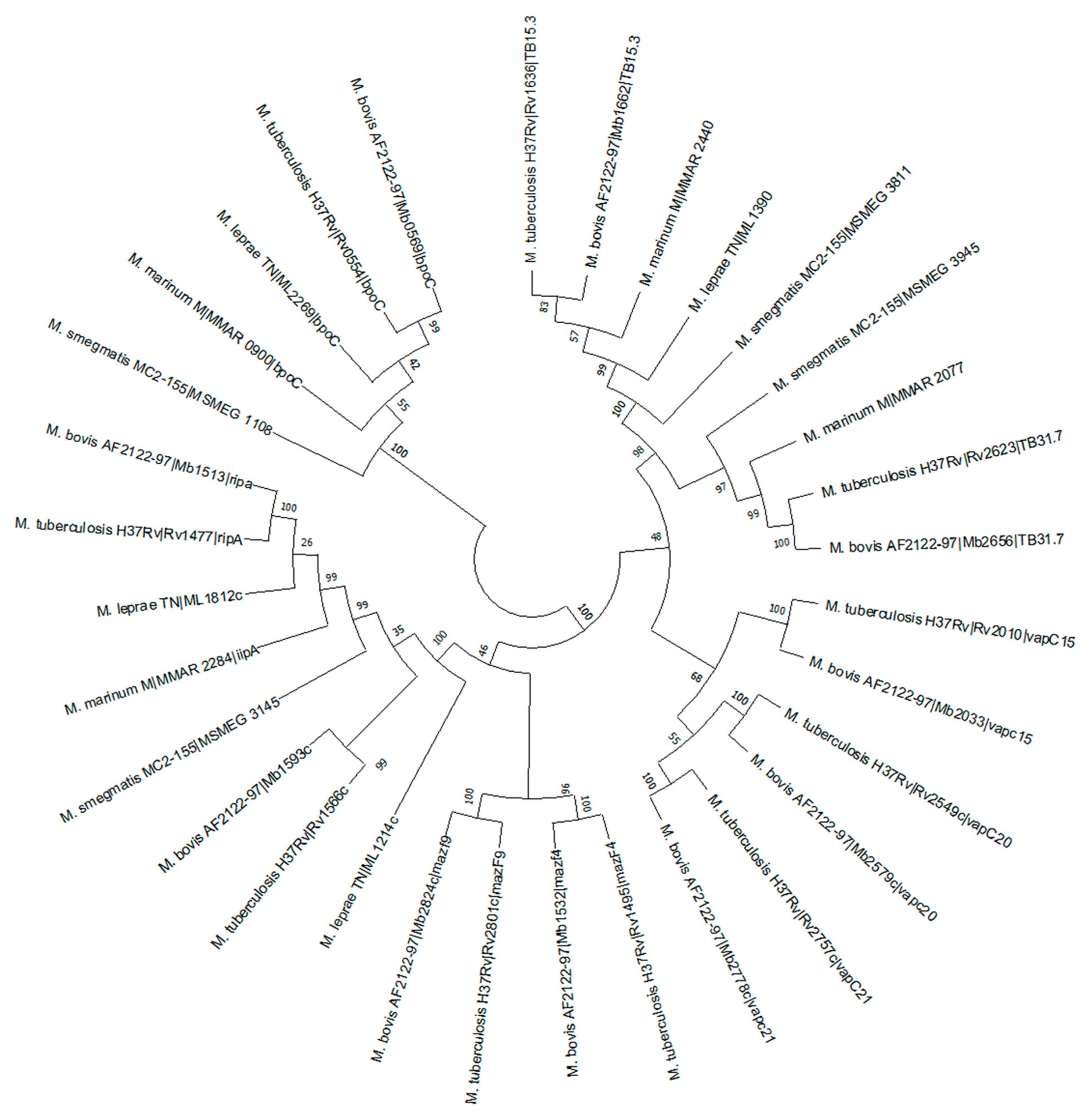 Molecules 27 04581 g005
