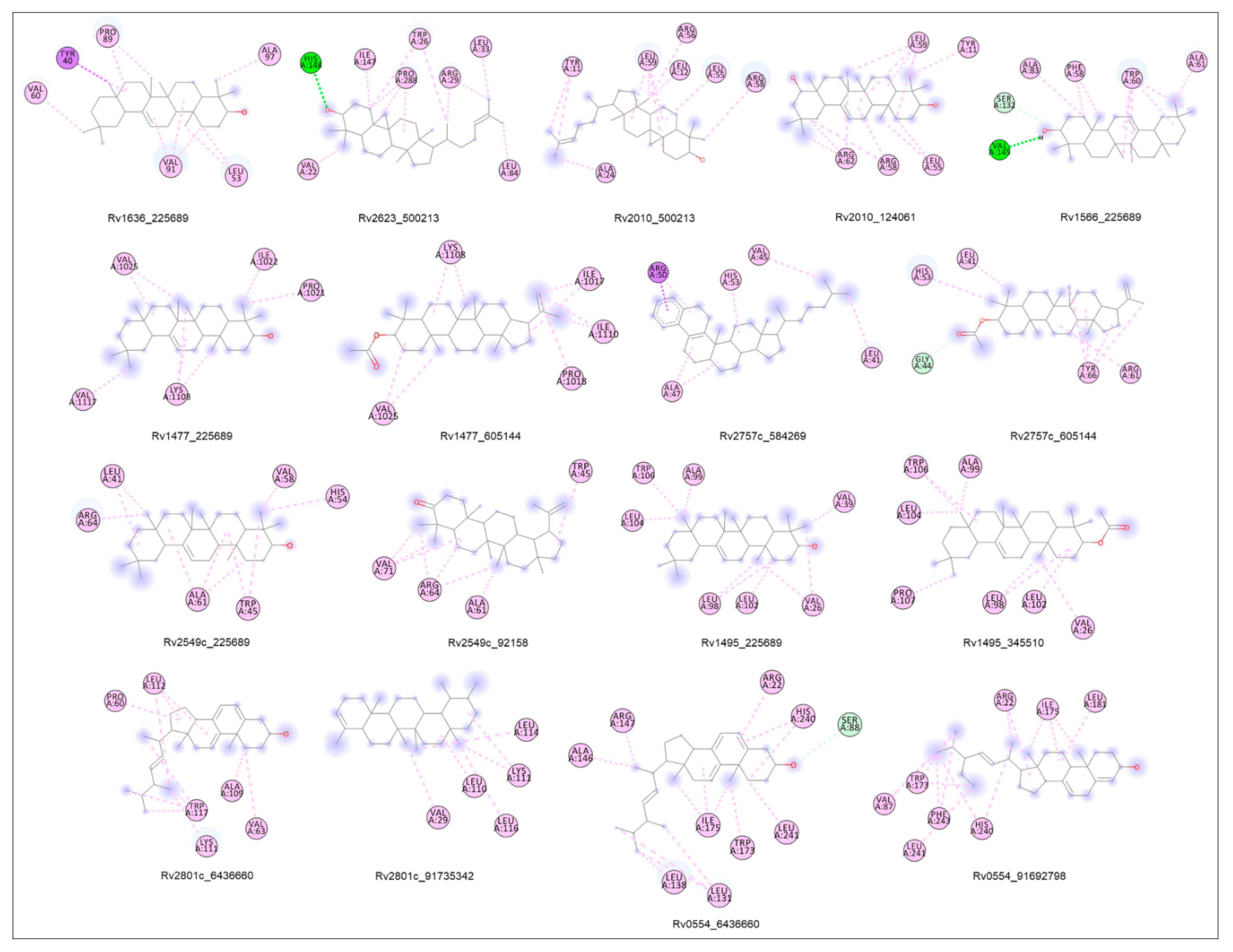 Molecules 27 04581 g008