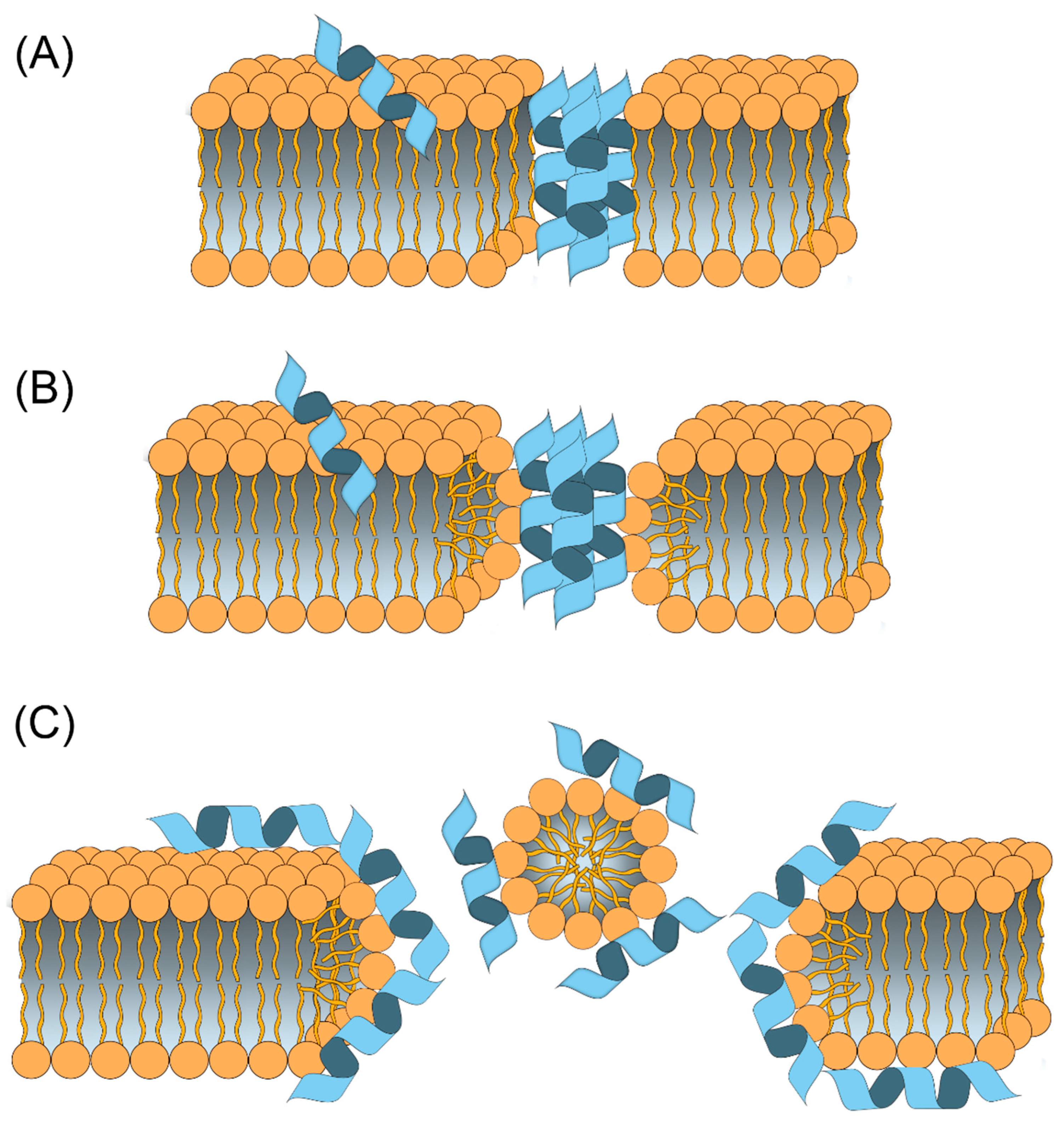 Molecules 27 04584 g003