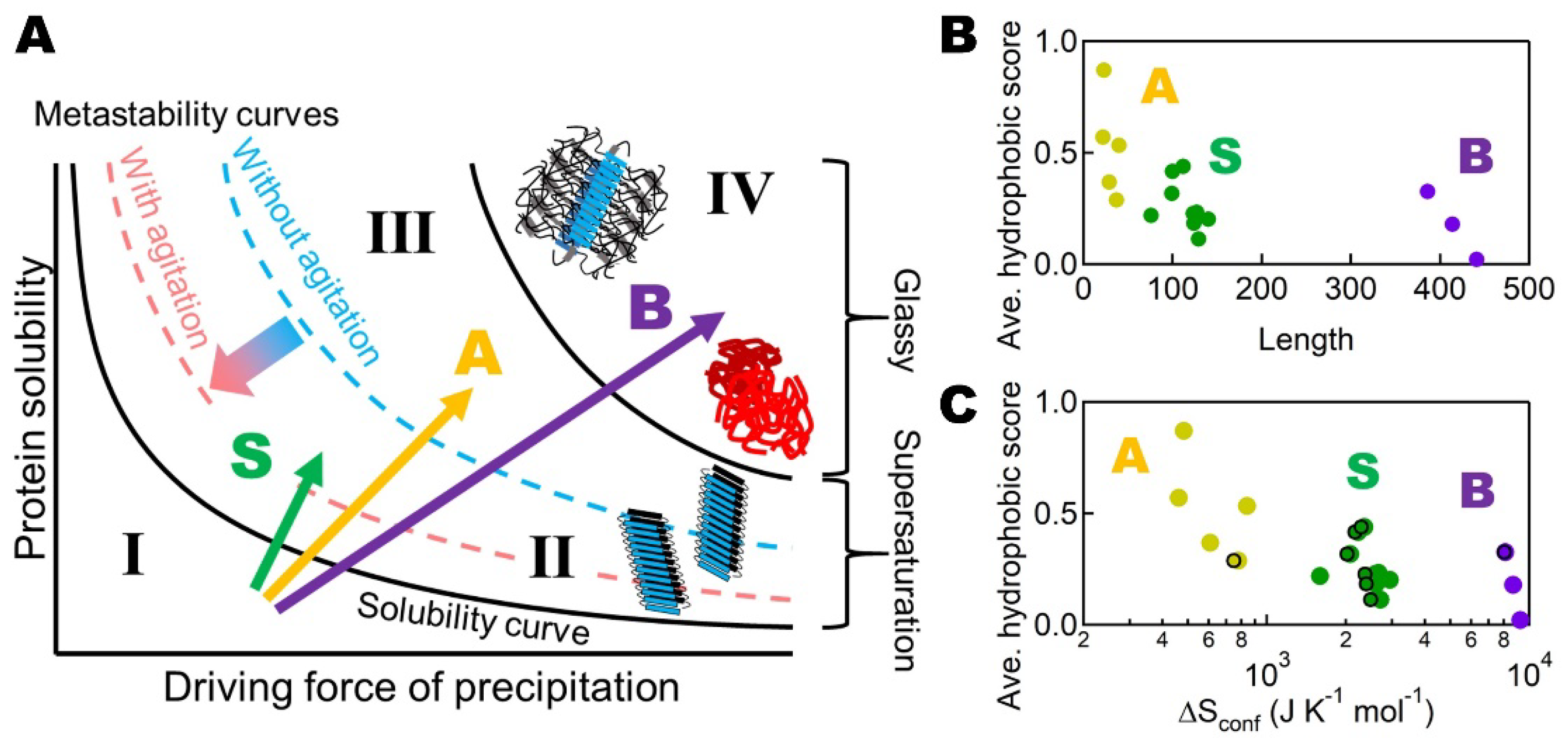 Molecules 27 04588 g004