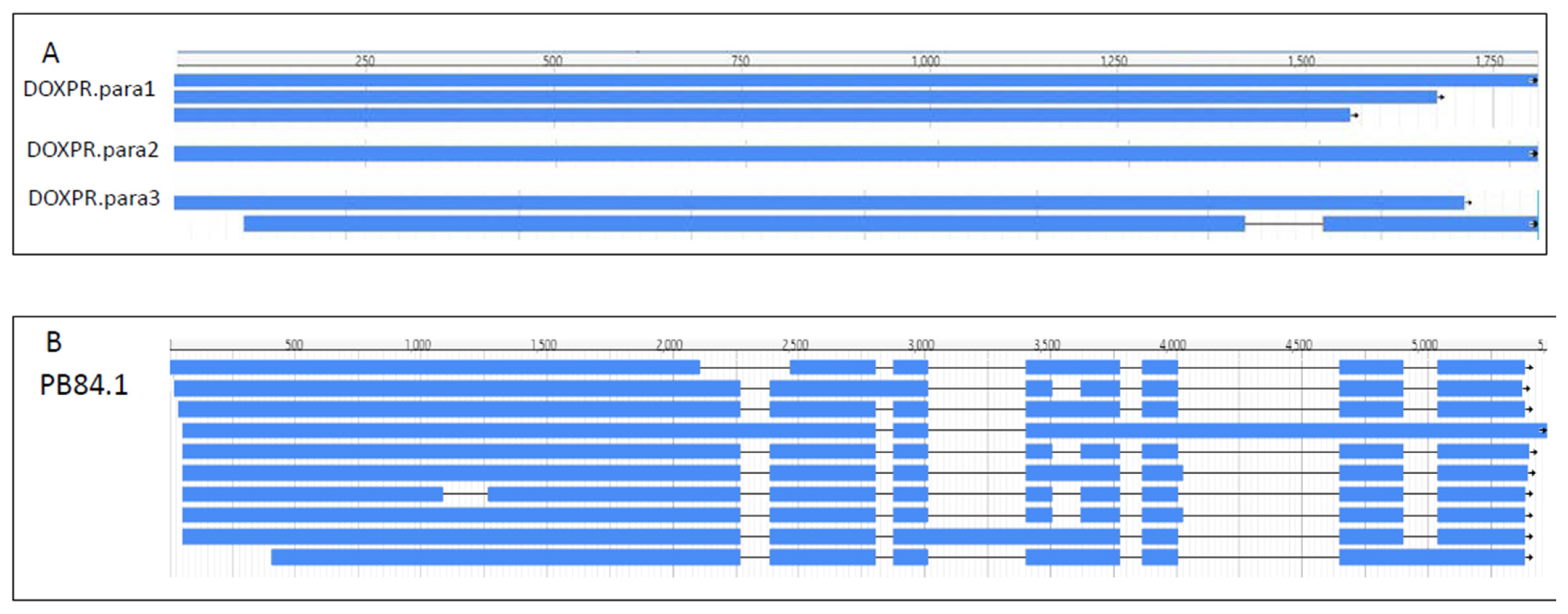 Molecules 27 04591 g003