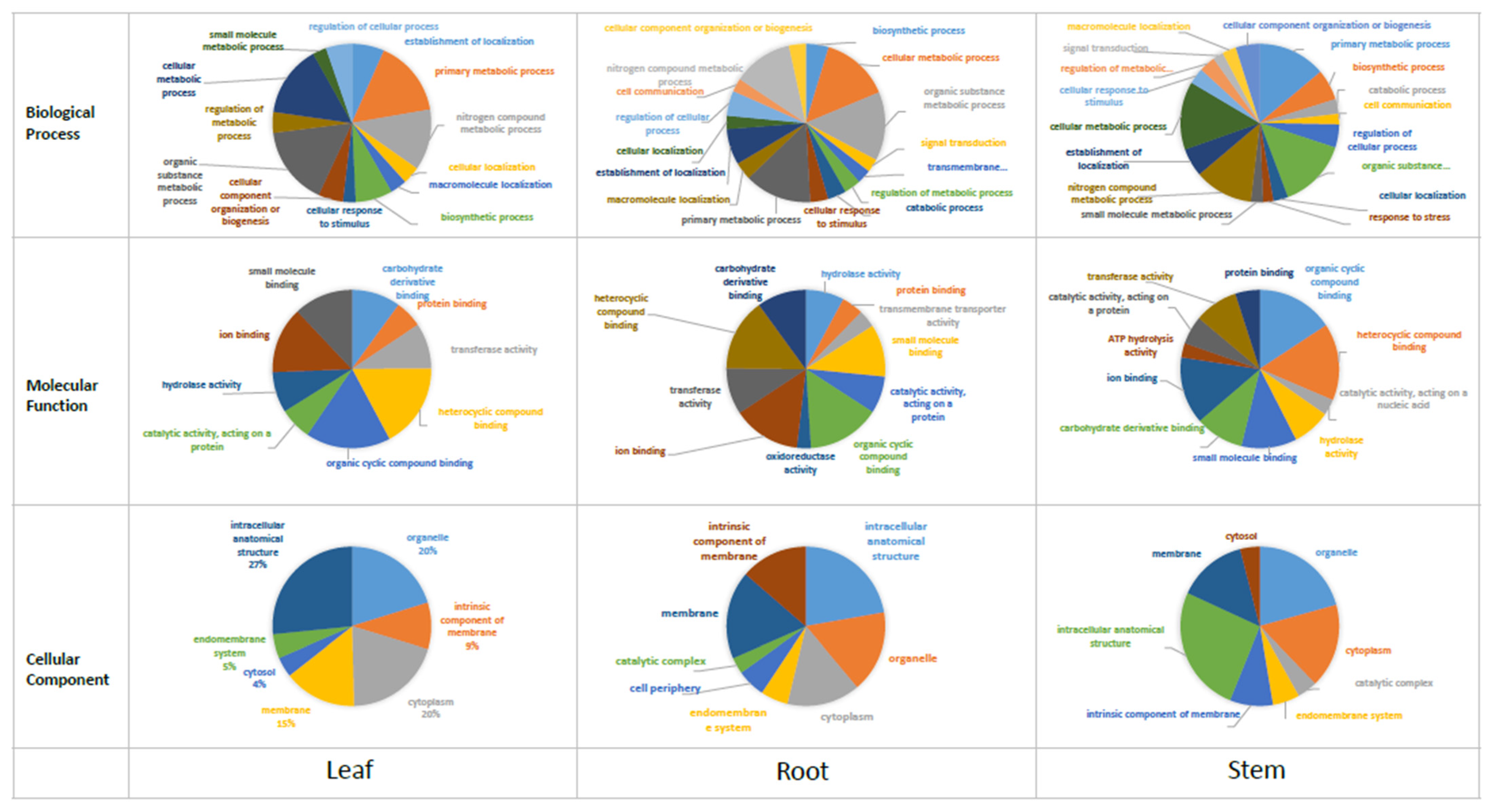 Molecules 27 04591 g006