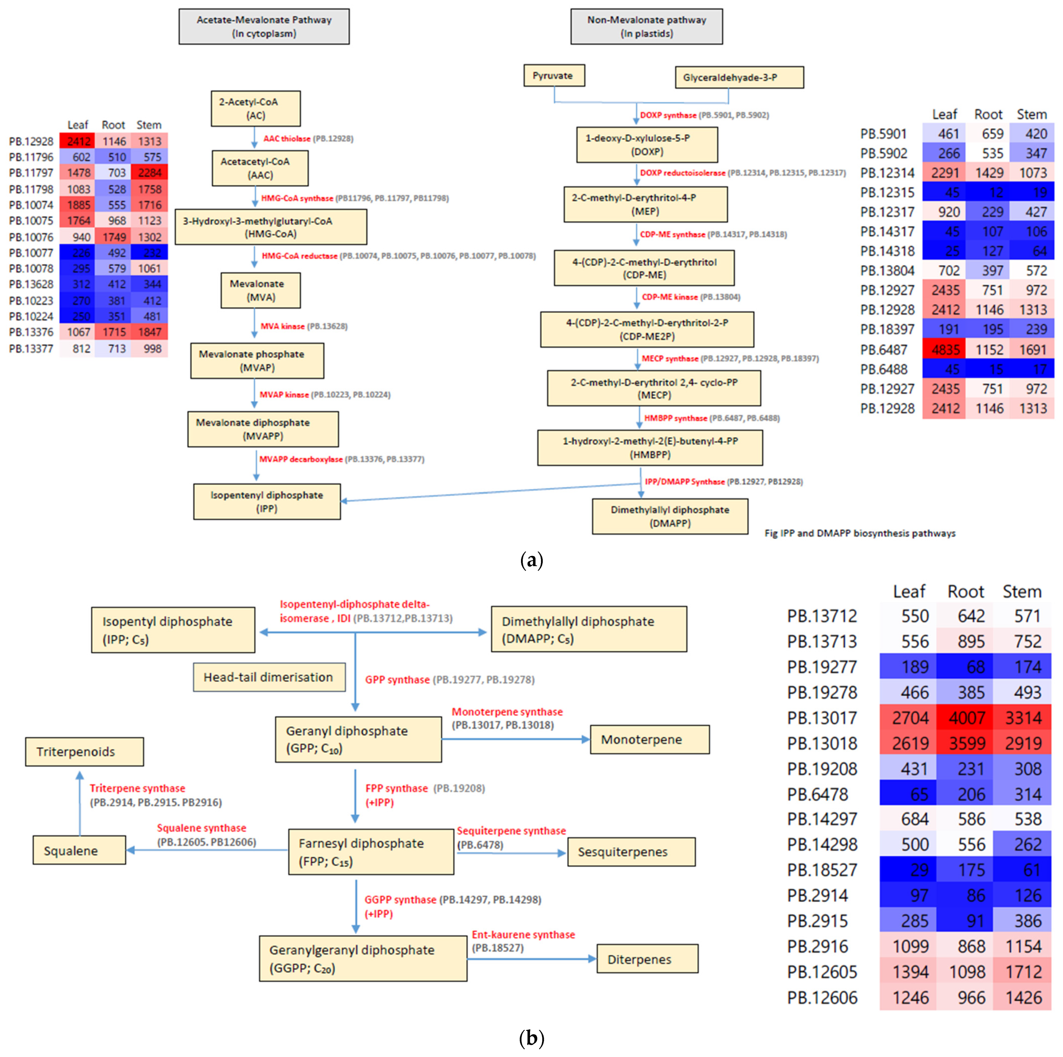 Molecules 27 04591 g007