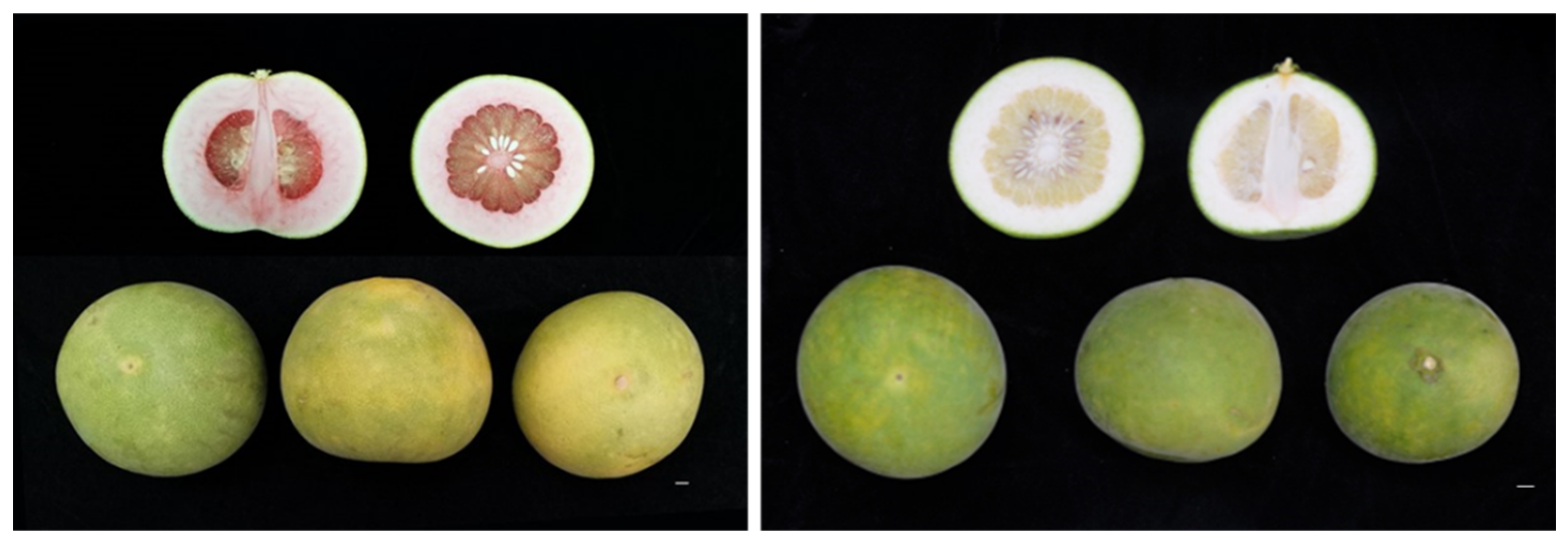 Molecules 27 04595 g001