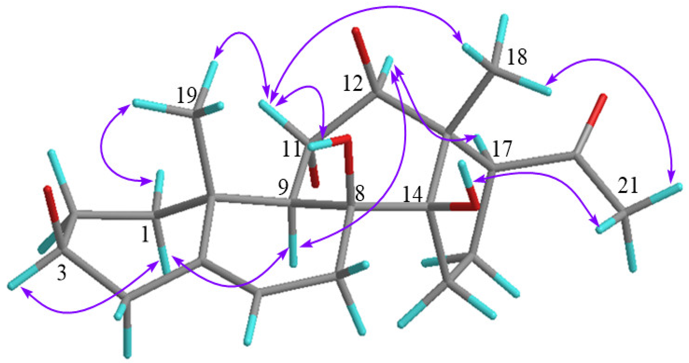 Molecules 27 04596 g003 Molecules 27 04596 g003