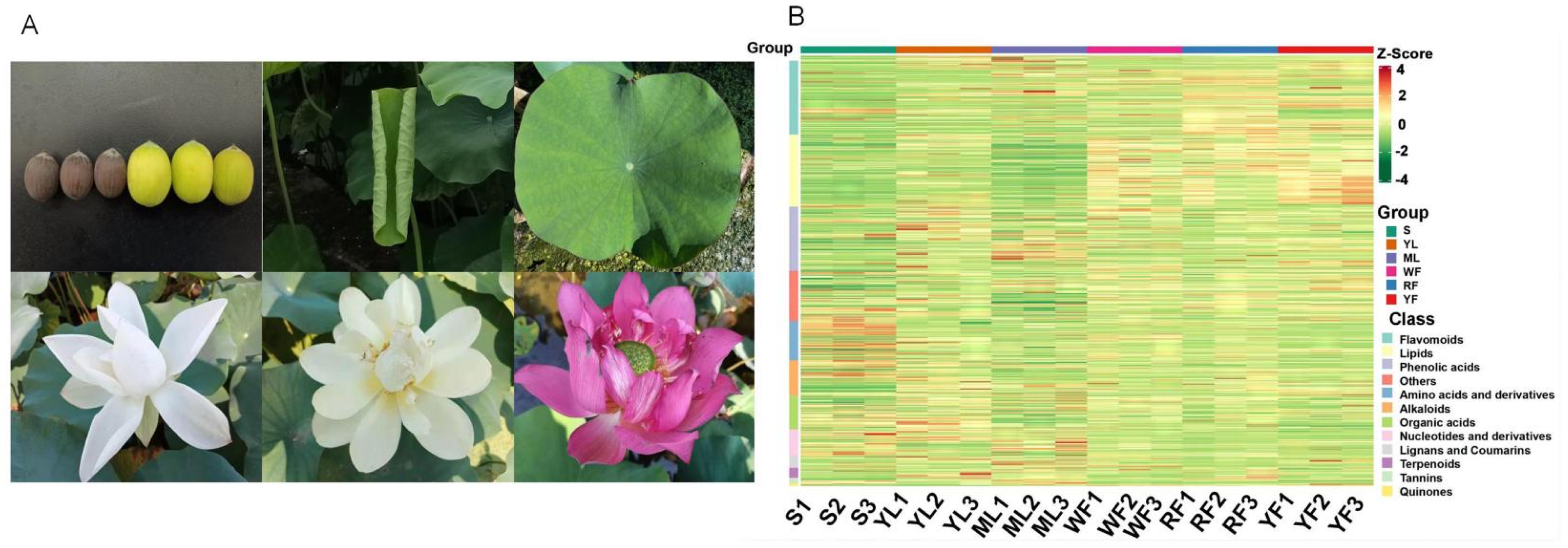 Molecules 27 04599 g001