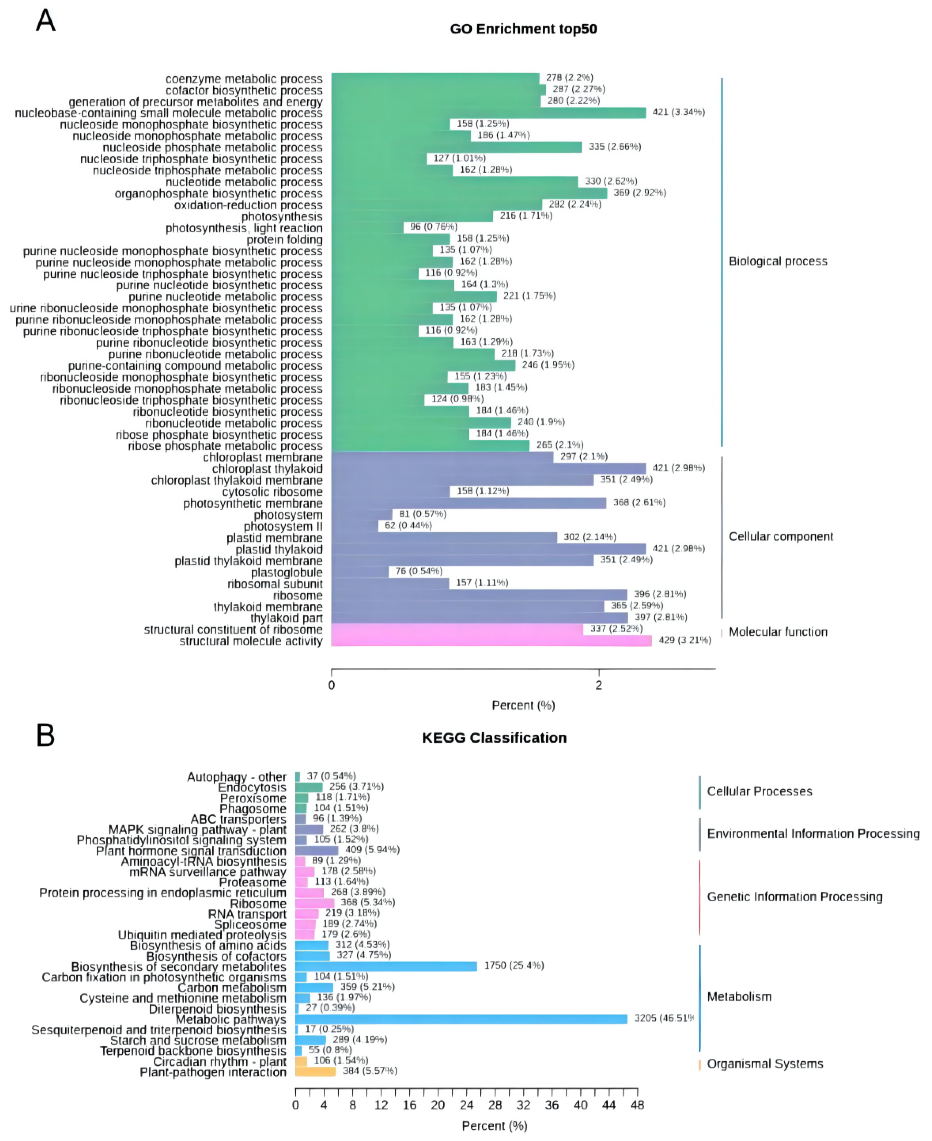 Molecules 27 04599 g004