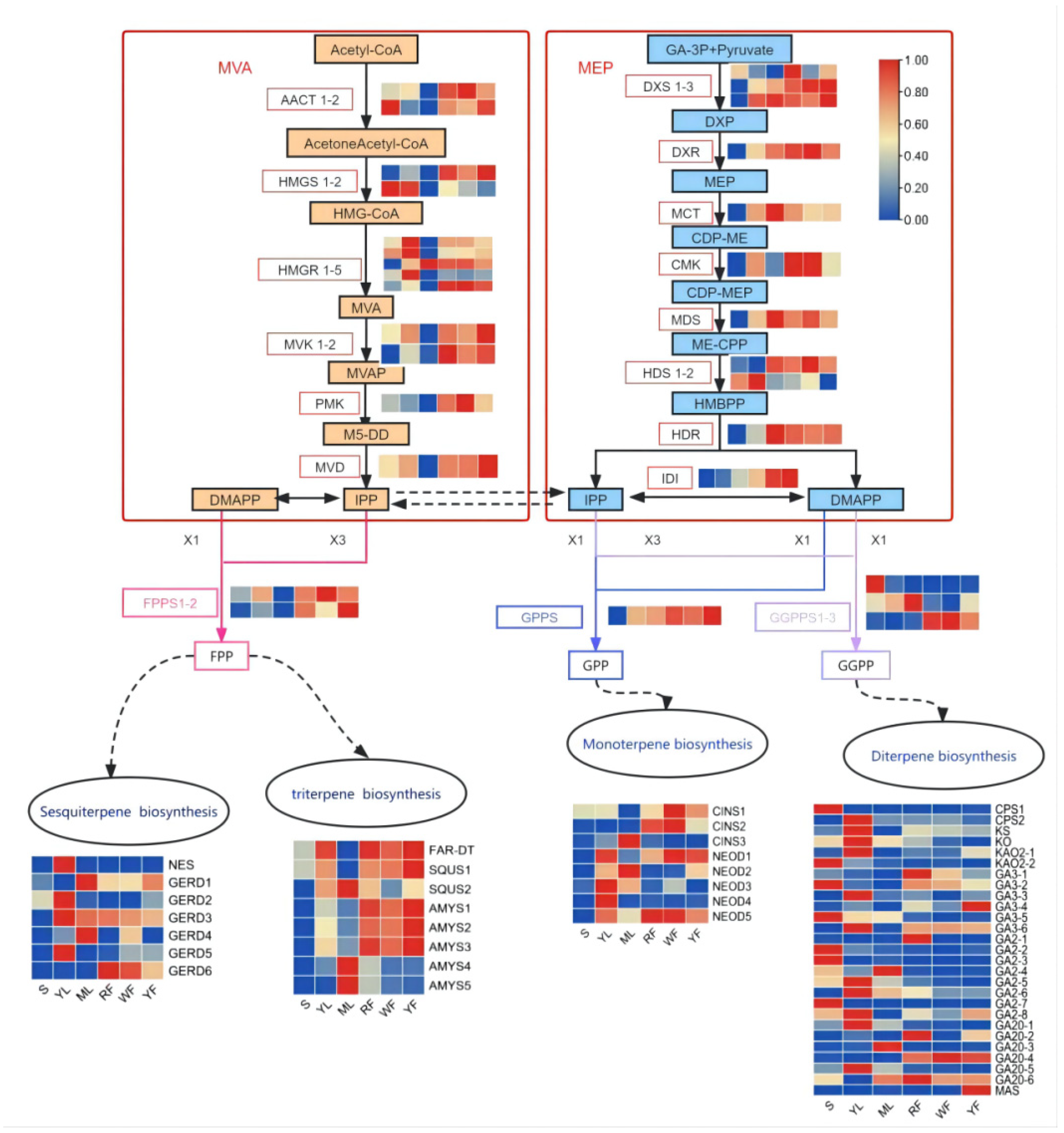 Molecules 27 04599 g005