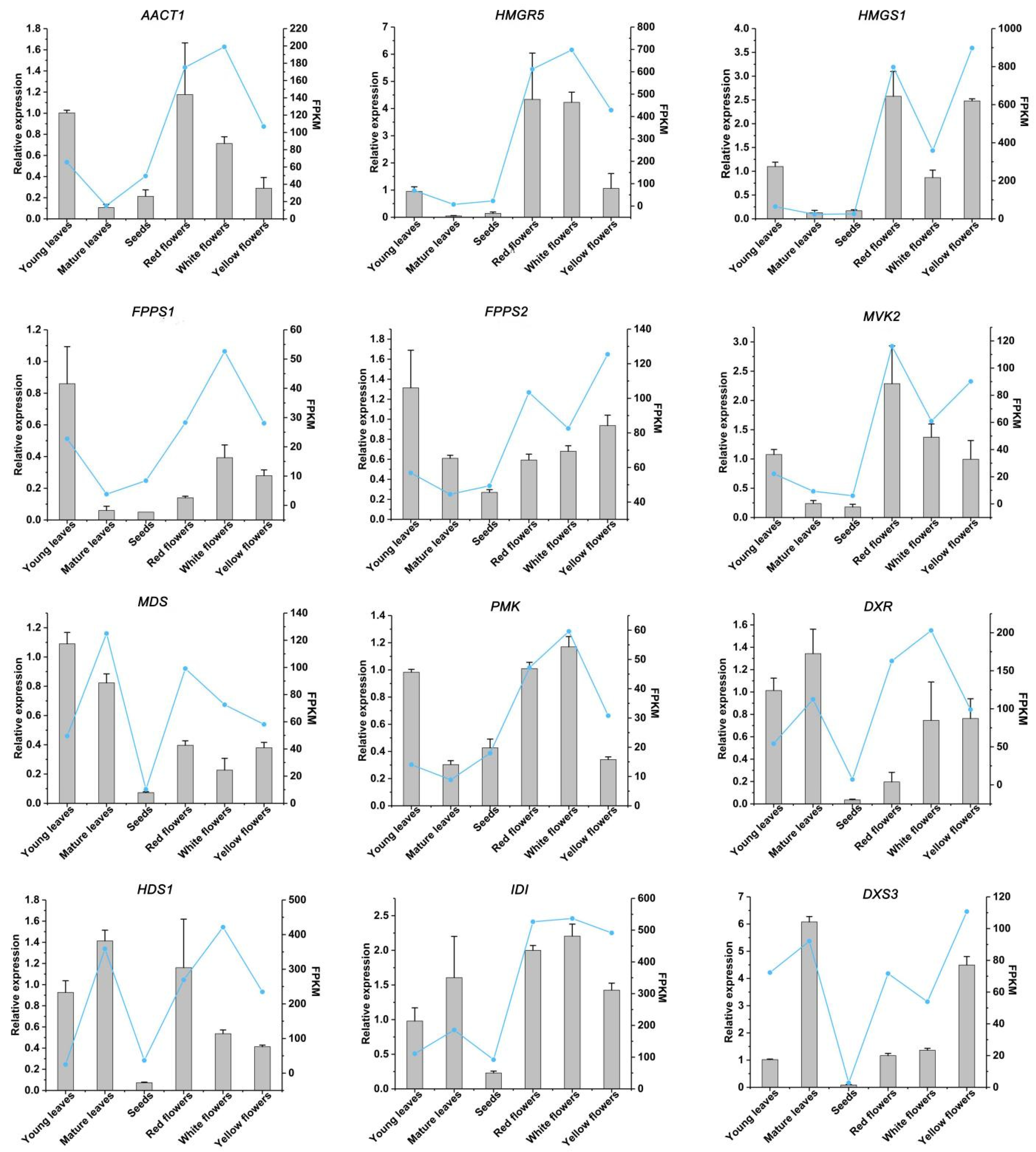 Molecules 27 04599 g008