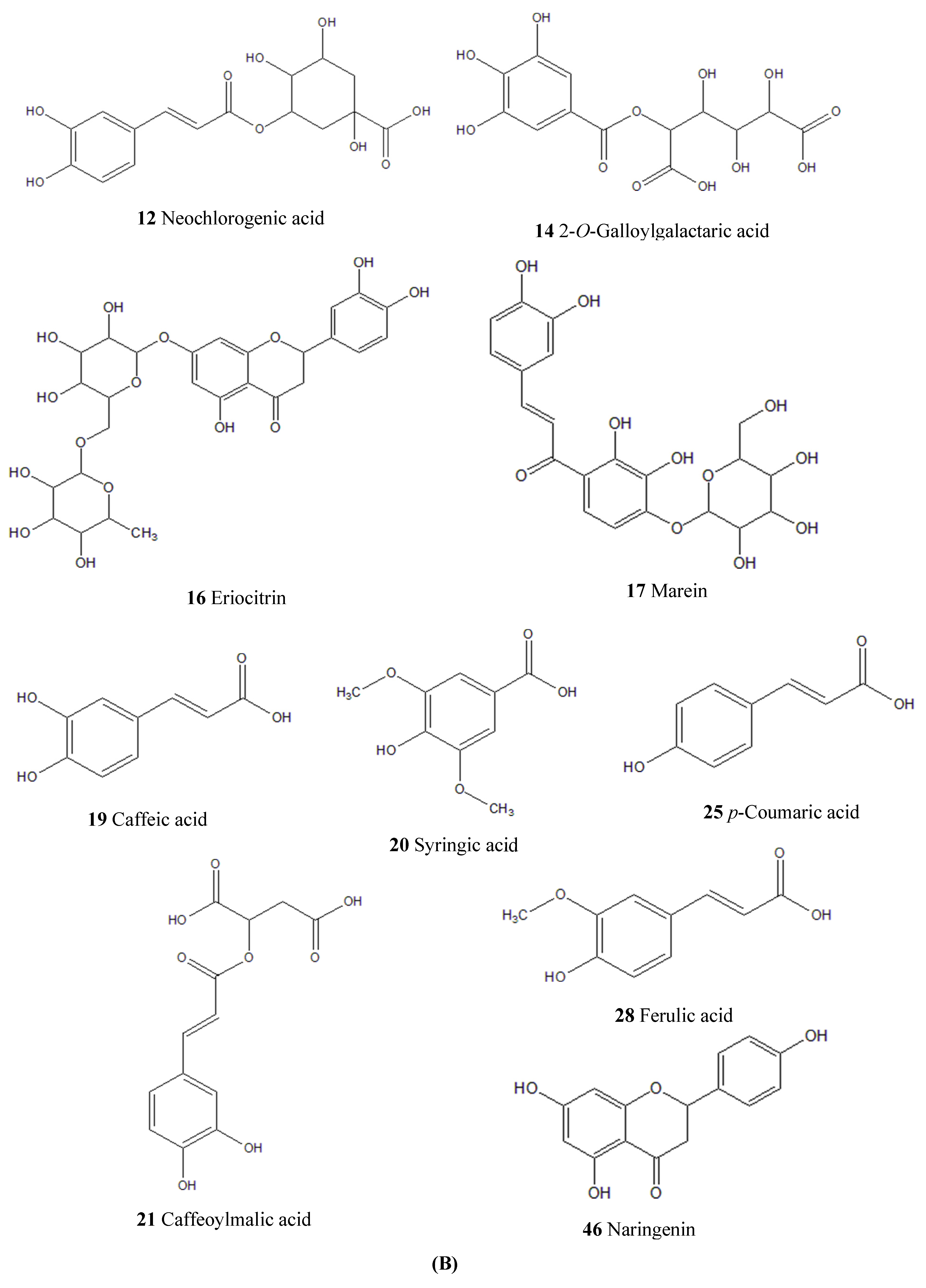Molecules 27 04600 g002b