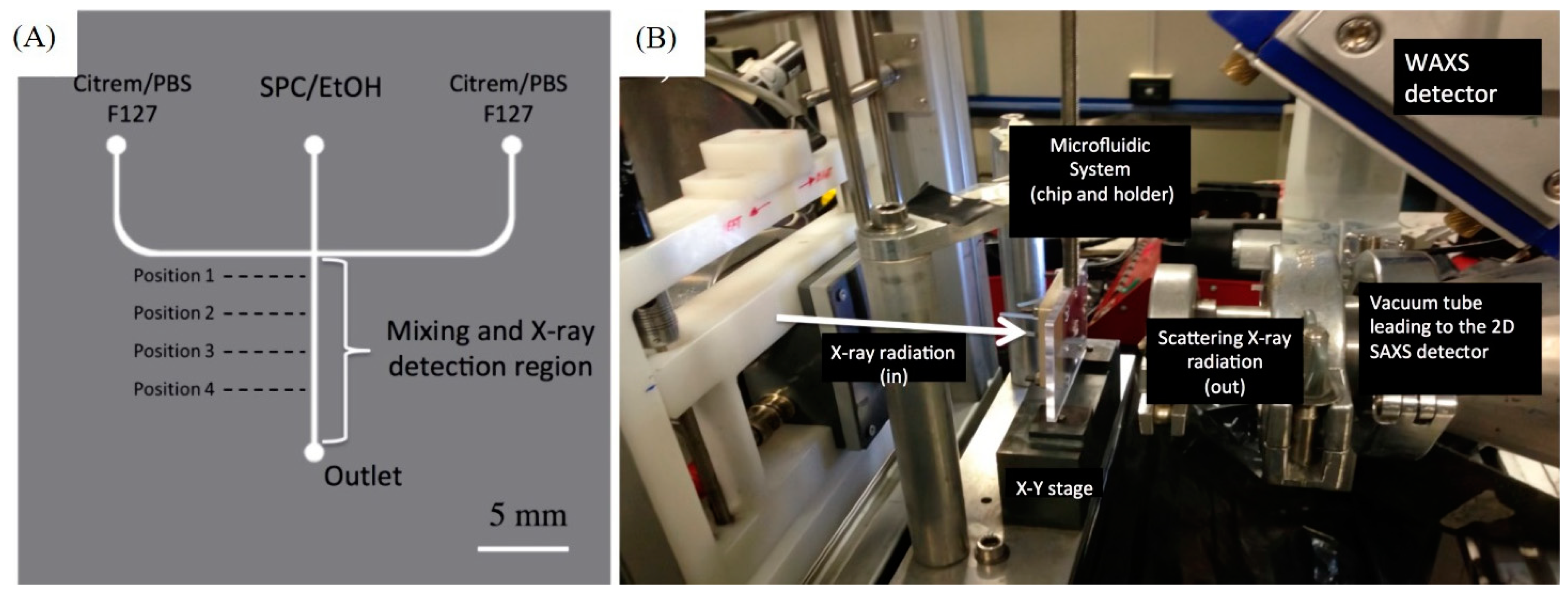 Molecules 27 04602 g003