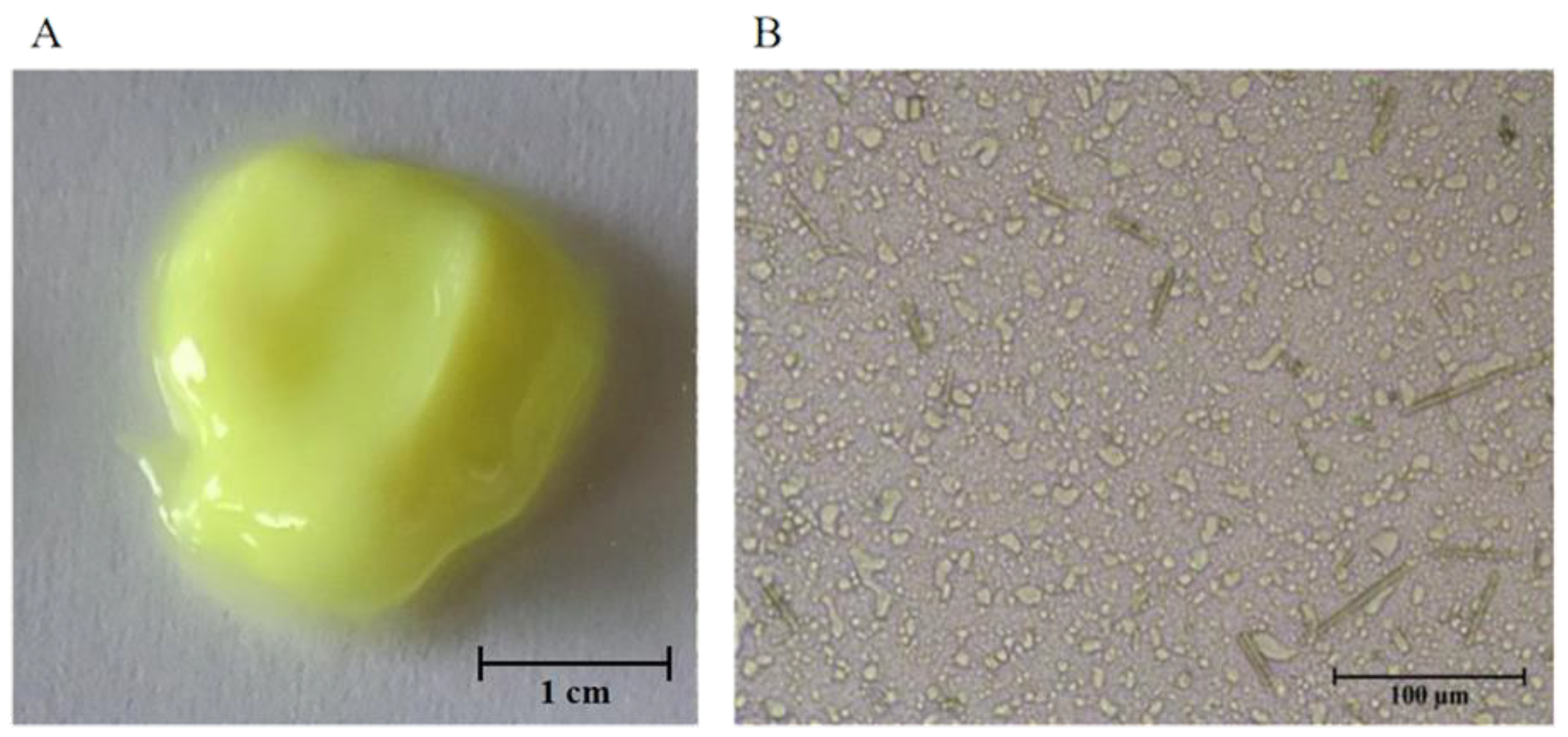 Molecules 27 04613 g002