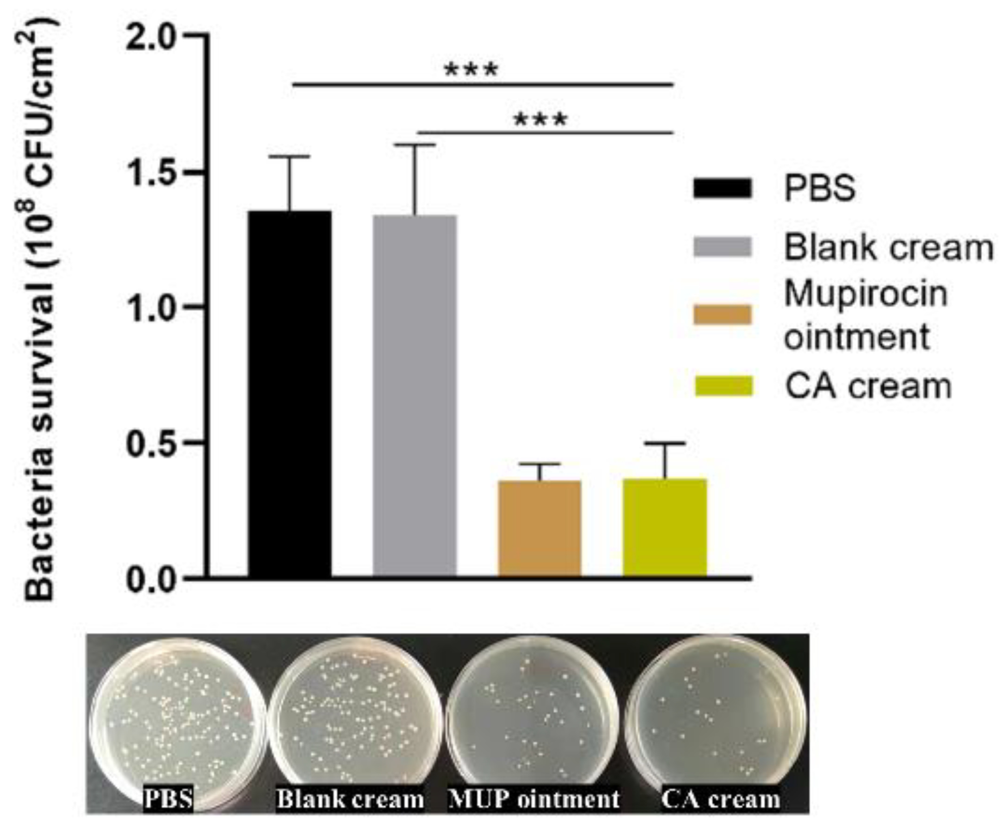 Molecules 27 04613 g006